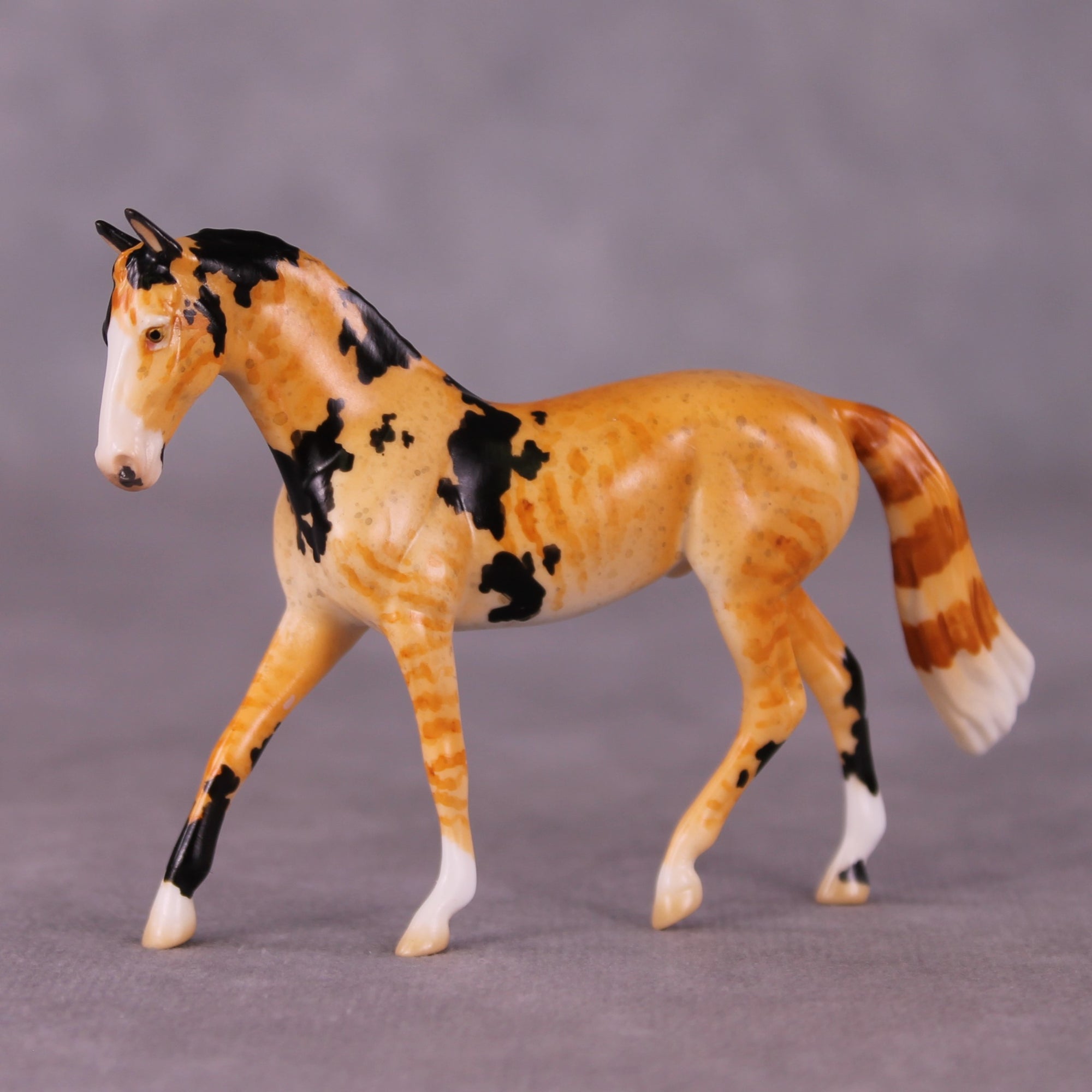"Mr. Whiskers" OOAK Warmblood Chip By Jess Hamill - Menagerie Series