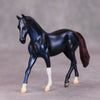 PREVIEW LISTING ONLY Layover OOAK Deco Blue Maroon Warmblood Chip By Jamie Adamson MM24