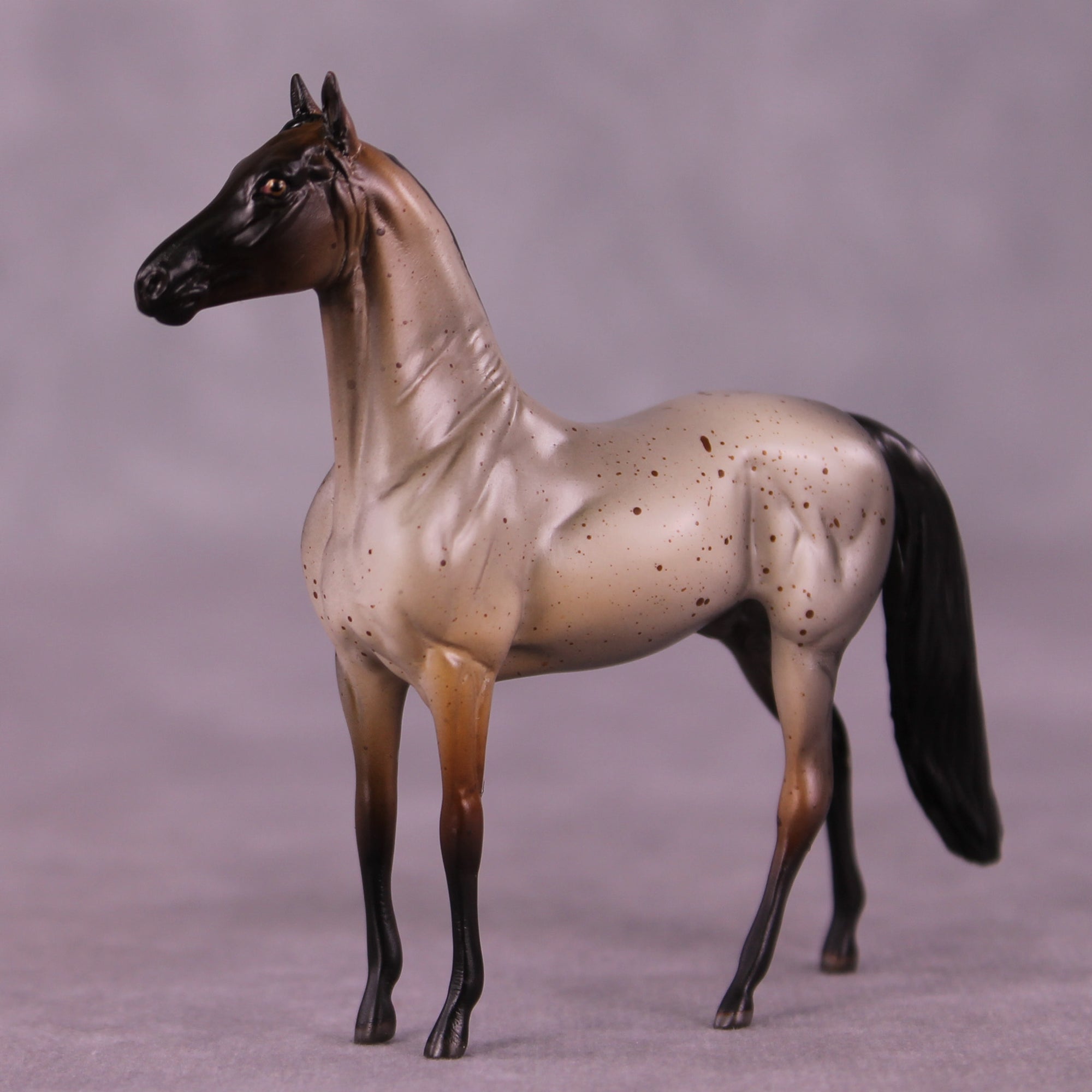 Nash OOAK Morgan Chip by Anna Rieck LHS25