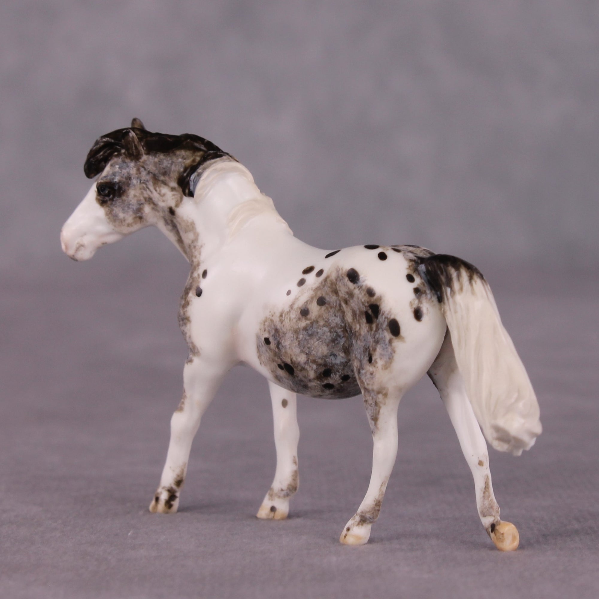 "Tabu" OOAK FCM Pony Chip by Andrea Thomason SHCF25