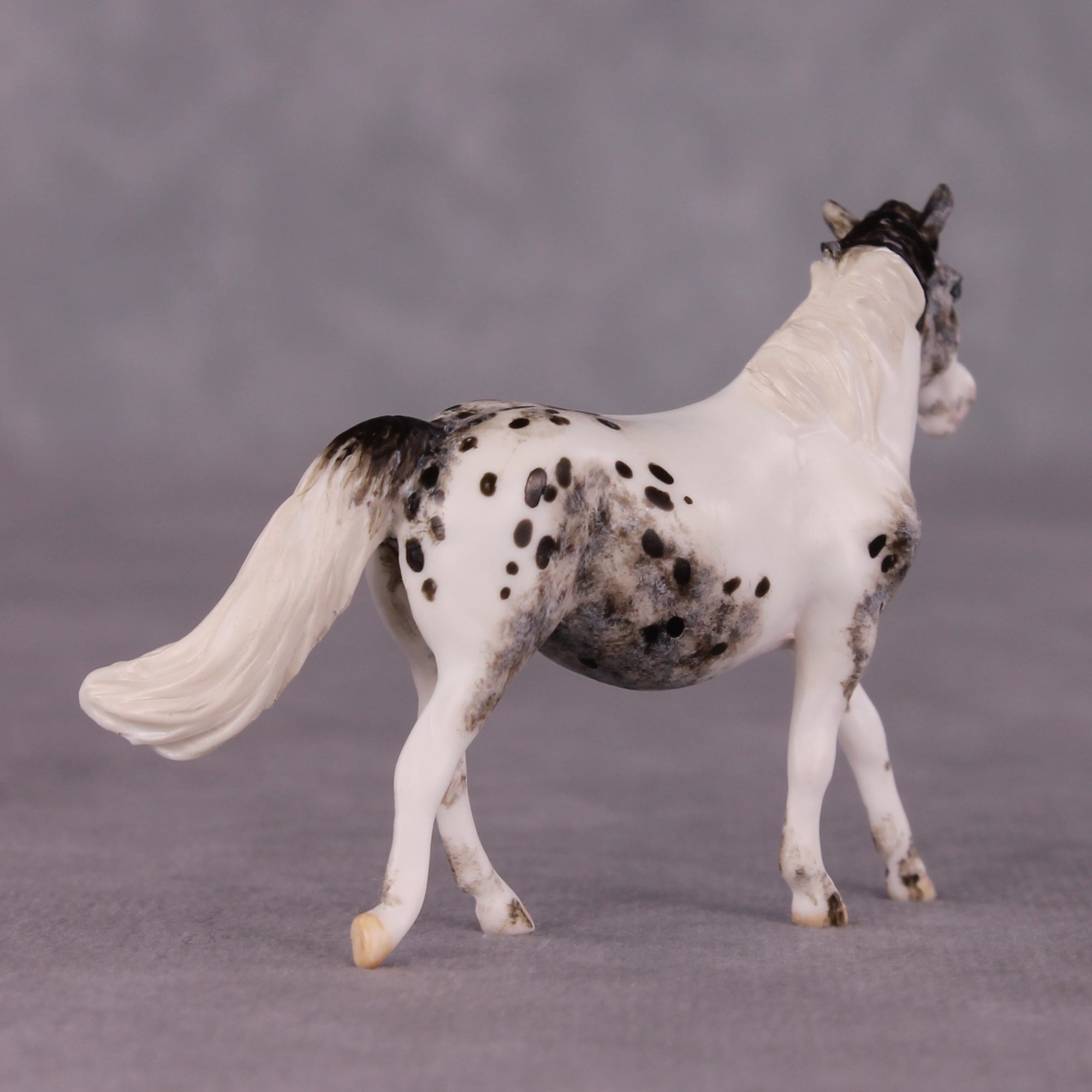 "Tabu" OOAK FCM Pony Chip by Andrea Thomason SHCF25