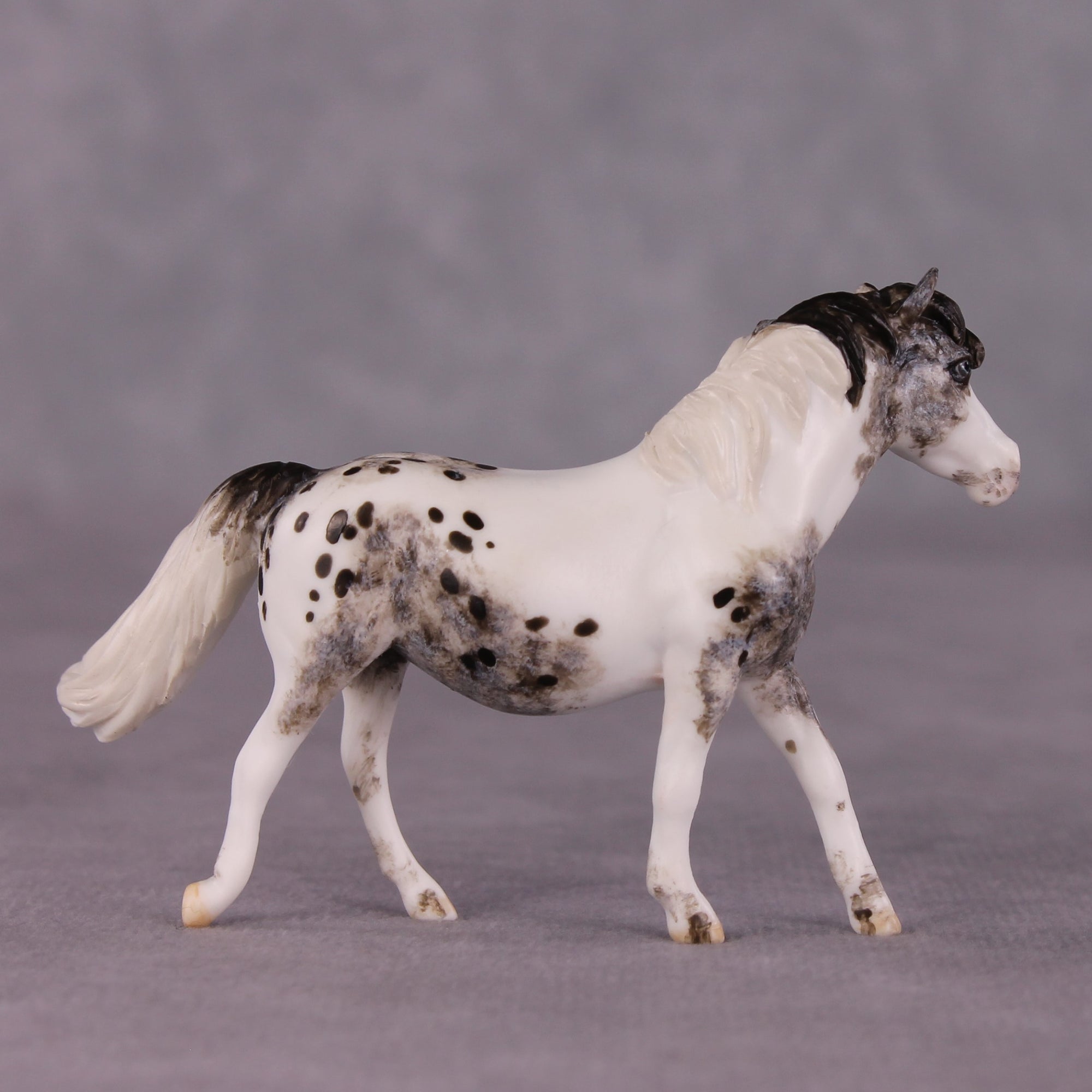 "Tabu" OOAK FCM Pony Chip by Andrea Thomason SHCF25