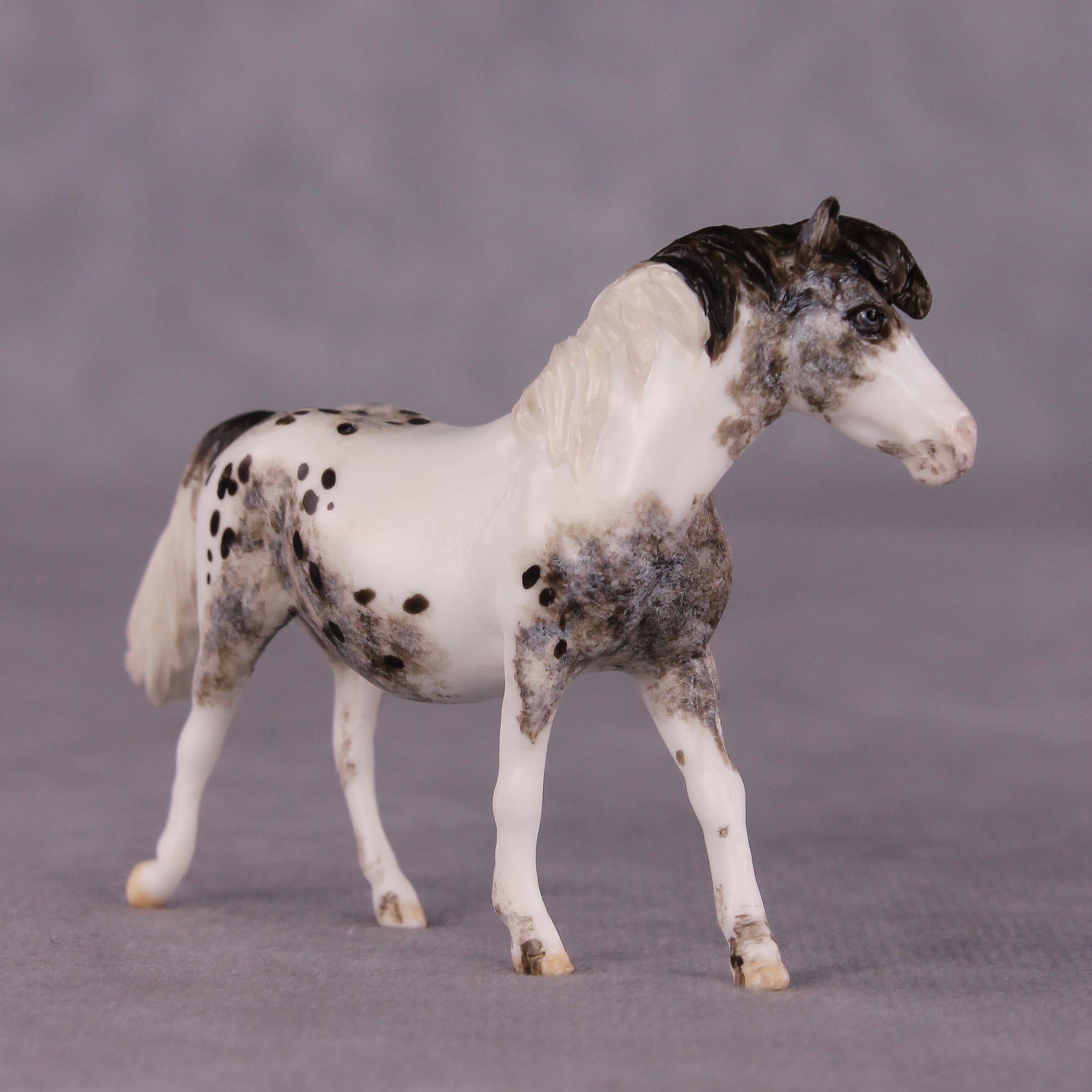 "Tabu" OOAK FCM Pony Chip by Andrea Thomason SHCF25