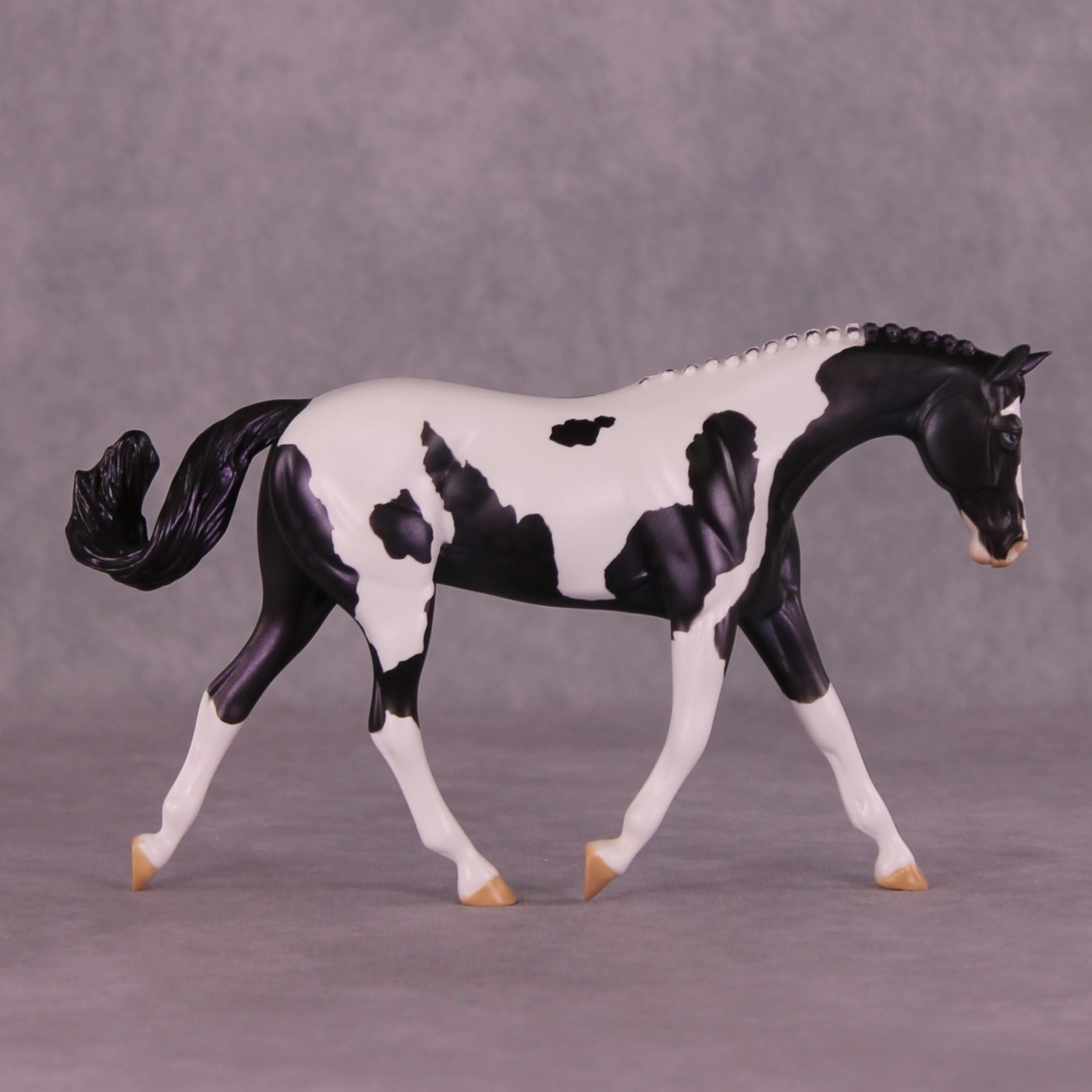SAMPLE Panoply OOAK LE-8 Pebble Warmblood by Dawn Quick HS25