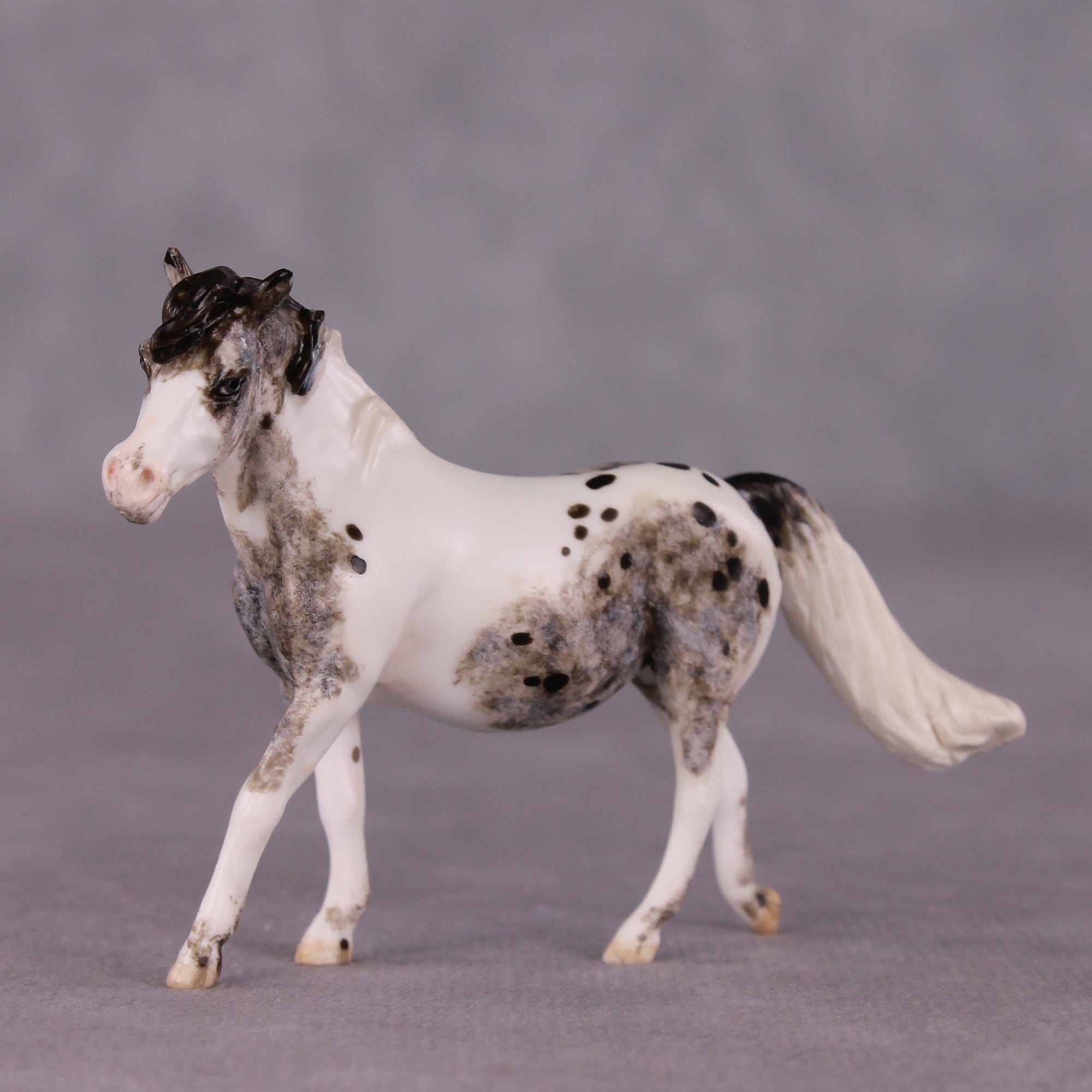 "Tabu" OOAK FCM Pony Chip by Andrea Thomason SHCF25