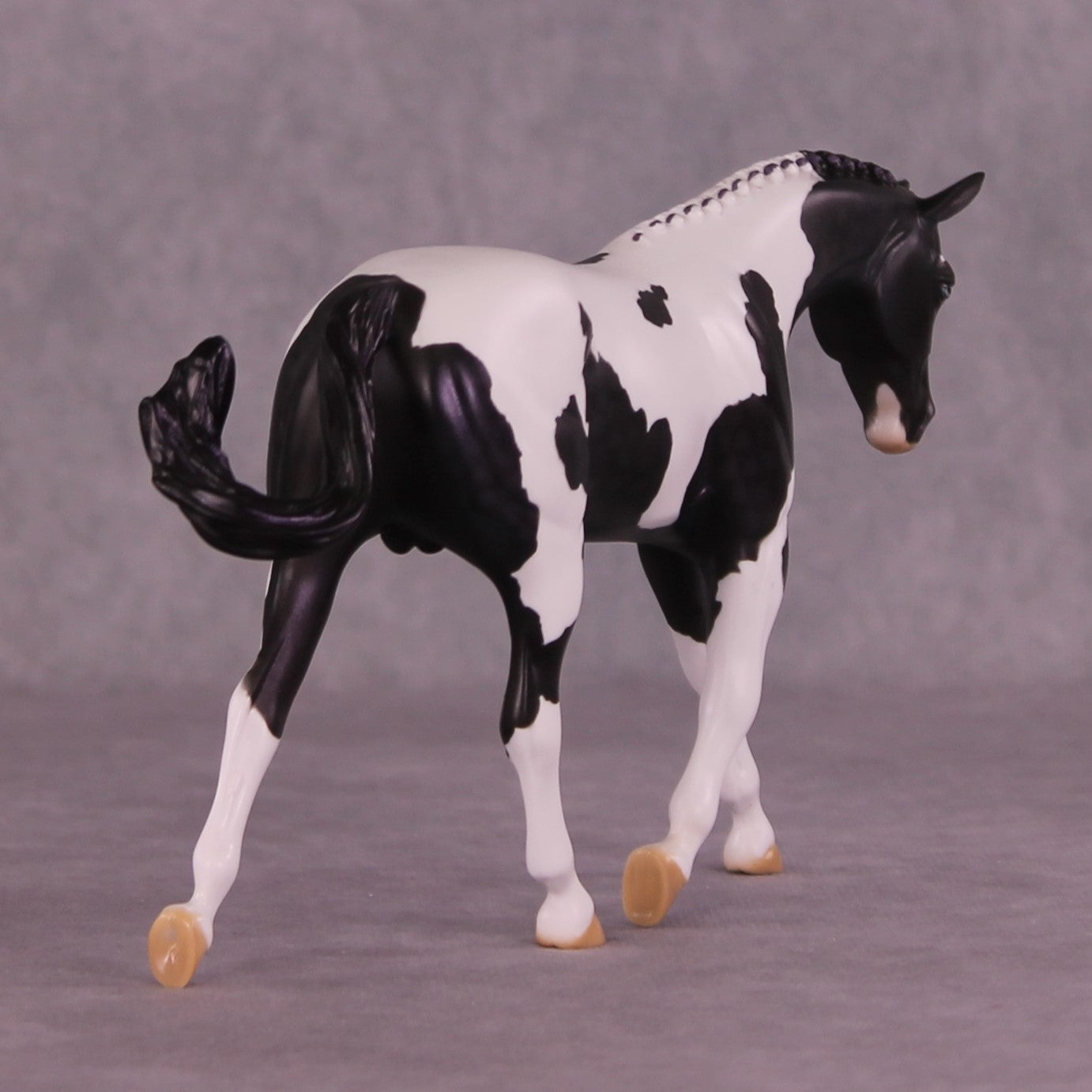 Panopoly or Pantheon LE-24 FCM Pebble Warmblood By Dawn Quick FS25