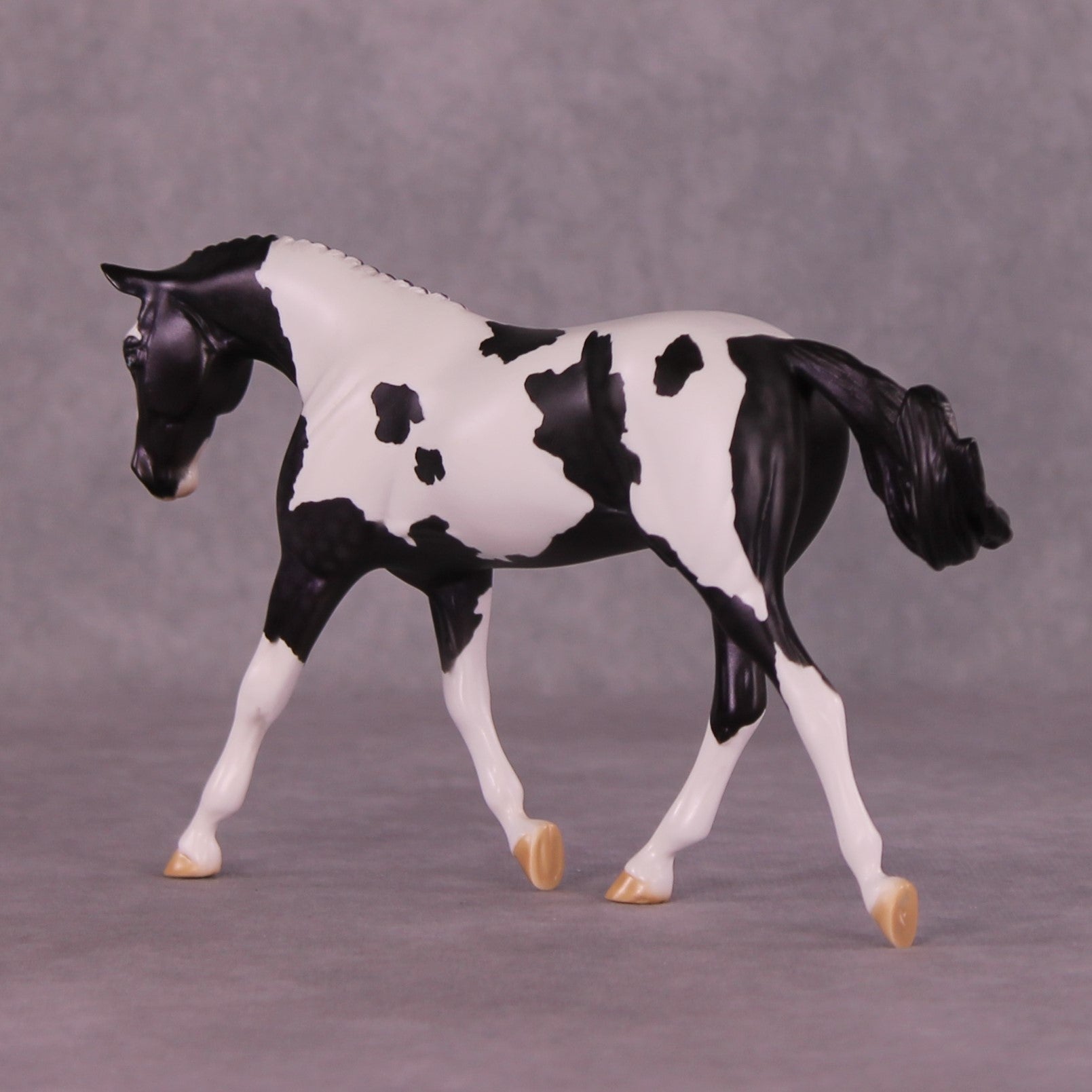SAMPLE Panoply OOAK LE-8 Pebble Warmblood by Dawn Quick HS25