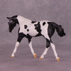 Panopoly or Pantheon LE-24 FCM Pebble Warmblood By Dawn Quick FS25