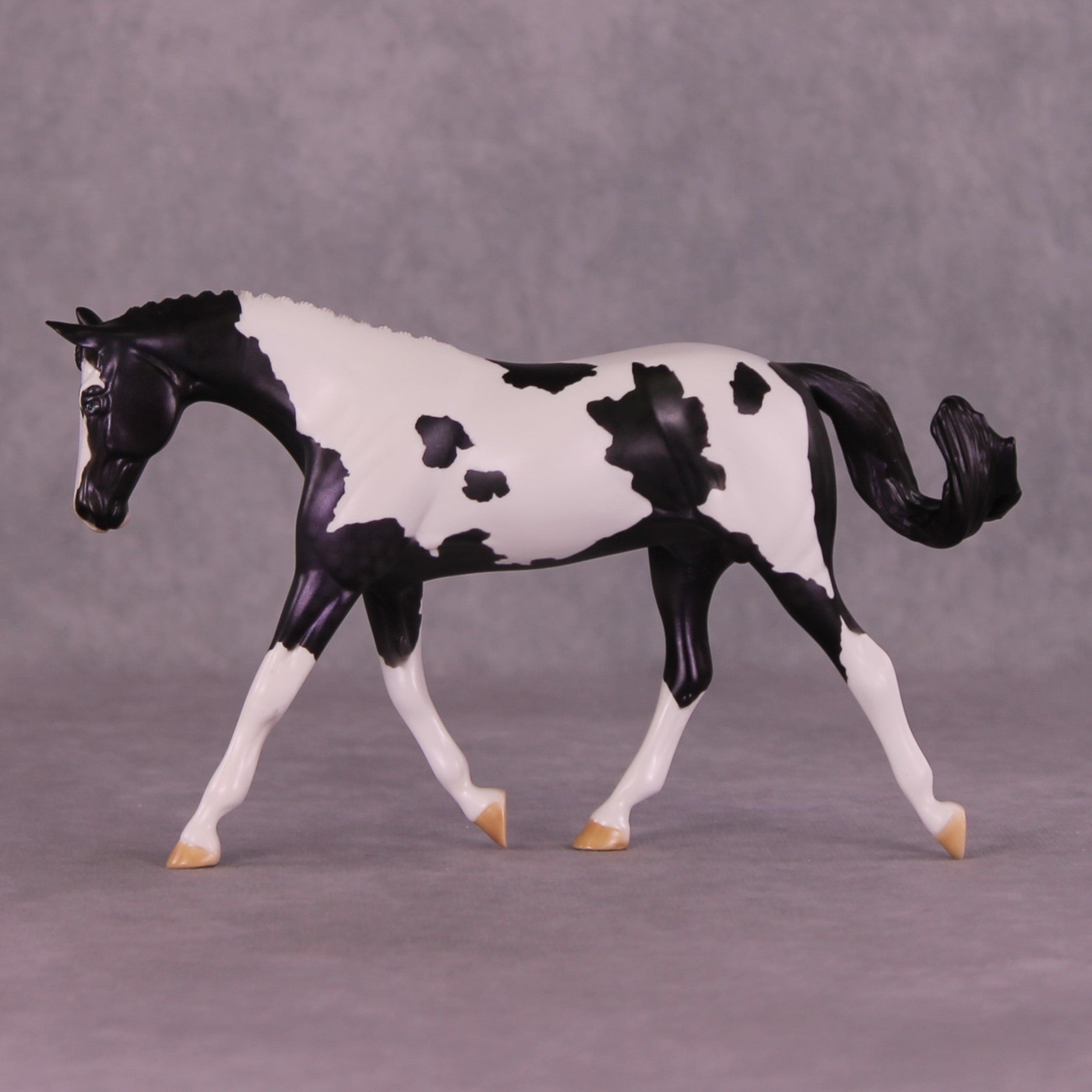 SAMPLE Panoply OOAK LE-8 Pebble Warmblood by Dawn Quick HS25