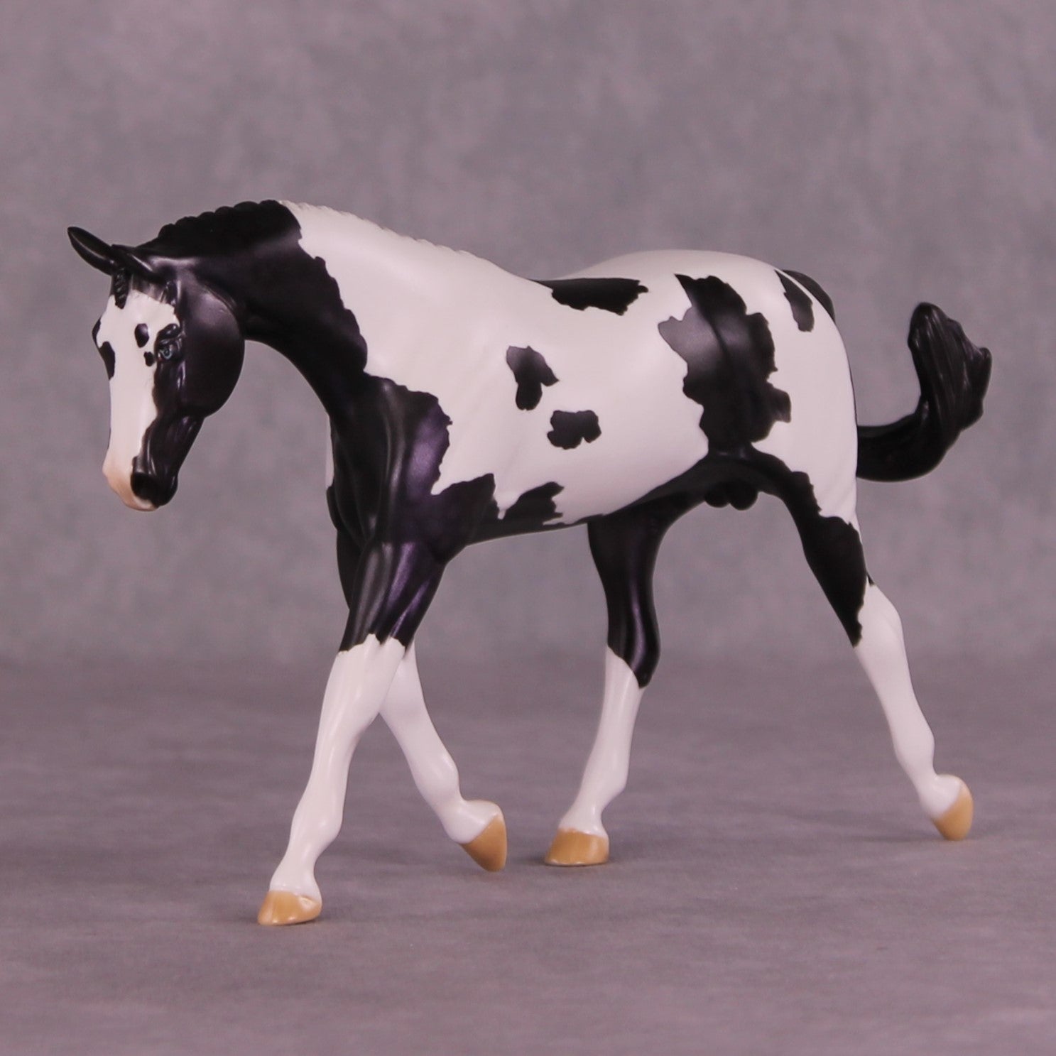 SAMPLE Panoply OOAK LE-8 Pebble Warmblood by Dawn Quick HS25