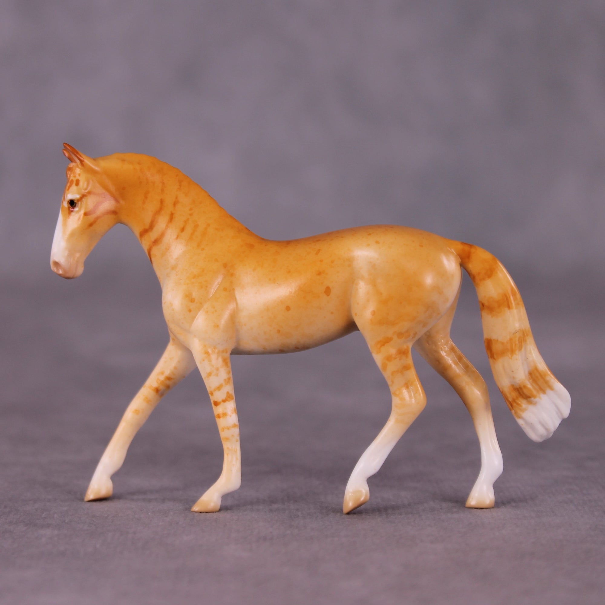 "Little Tiger" OOAK Warmblood Chip By Jess Hamill - Menagerie Series