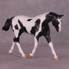 Panopoly or Pantheon LE-24 FCM Pebble Warmblood By Dawn Quick FS25
