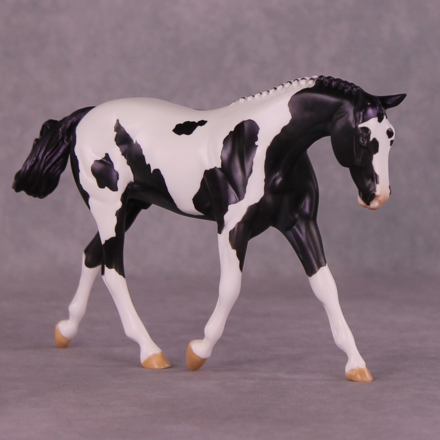 SAMPLE Panoply OOAK LE-8 Pebble Warmblood by Dawn Quick HS25
