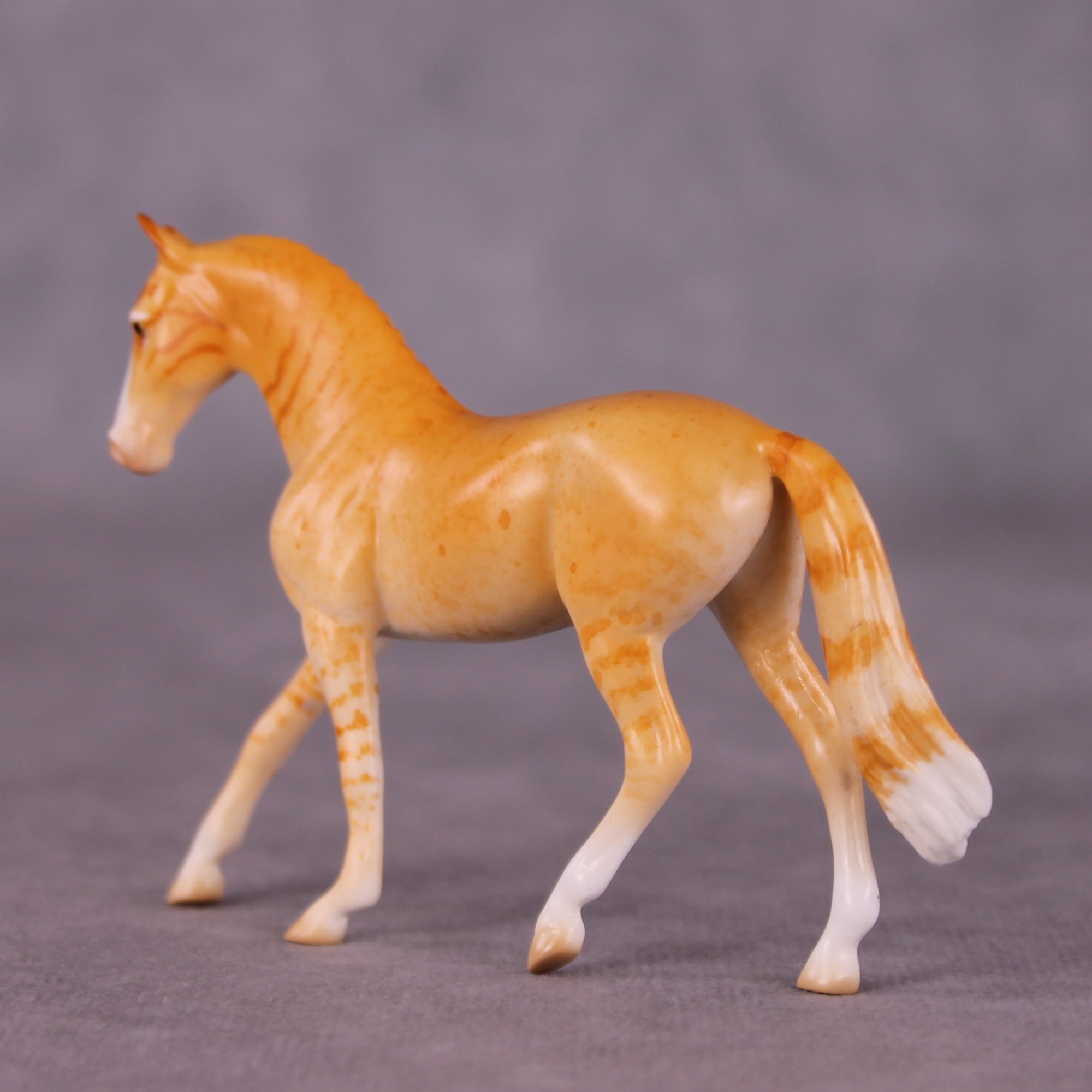 "Little Tiger" OOAK Warmblood Chip By Jess Hamill - Menagerie Series