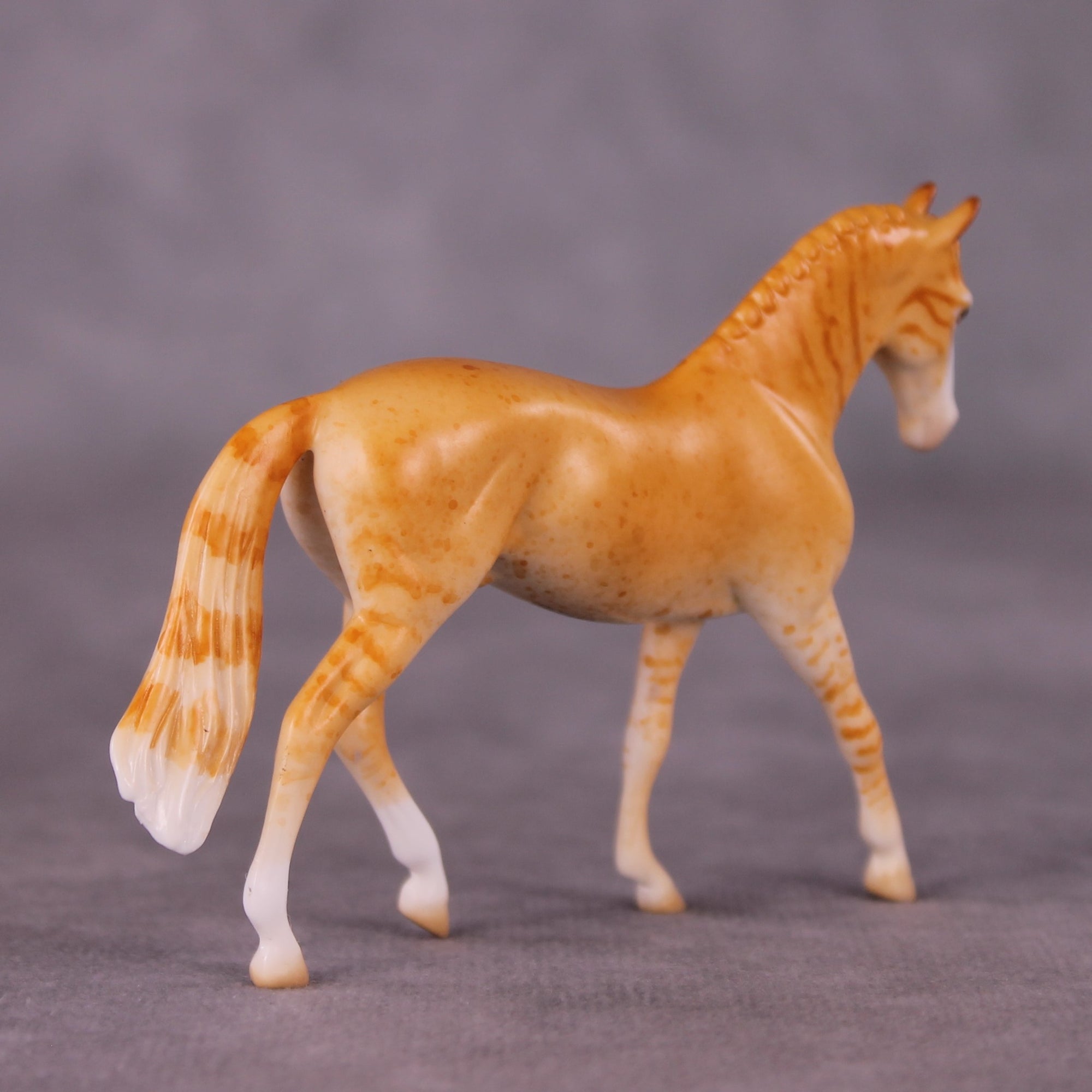 "Little Tiger" OOAK Warmblood Chip By Jess Hamill - Menagerie Series