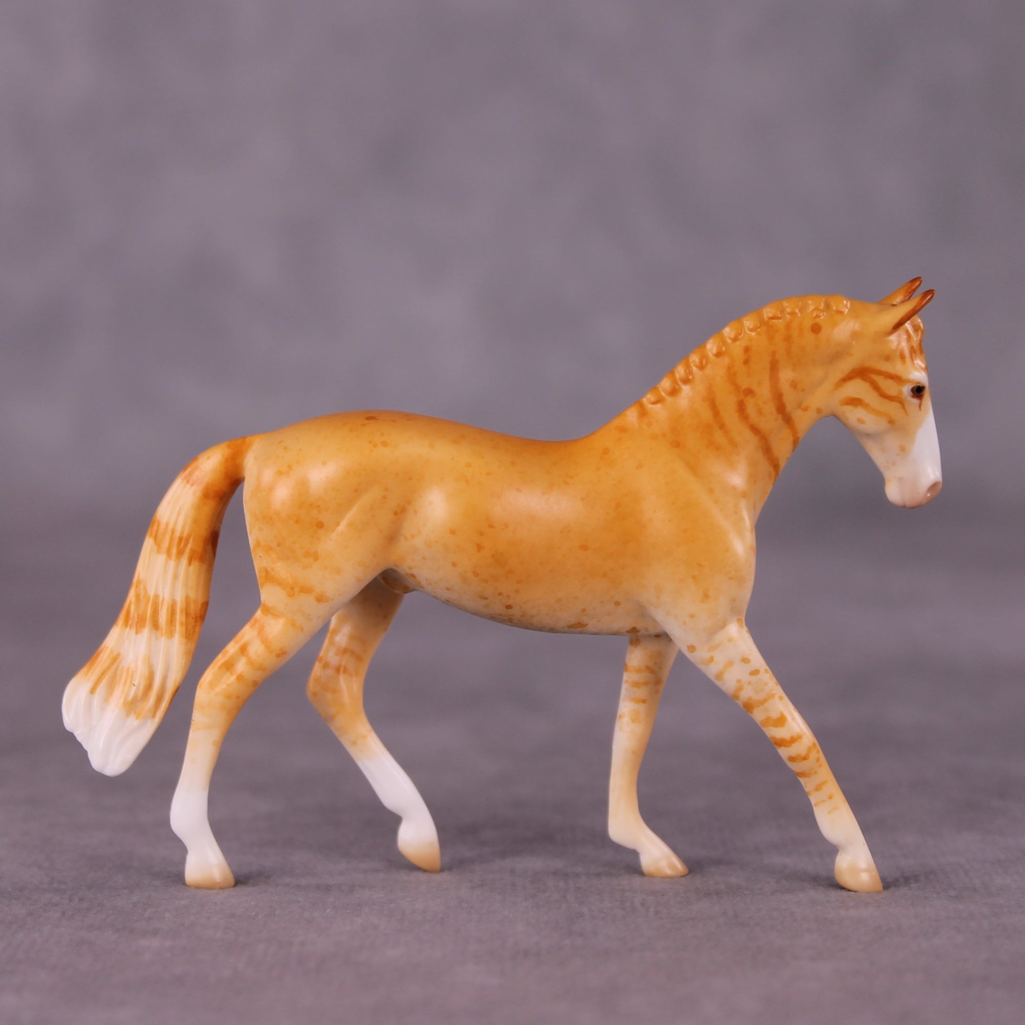 "Little Tiger" OOAK Warmblood Chip By Jess Hamill - Menagerie Series