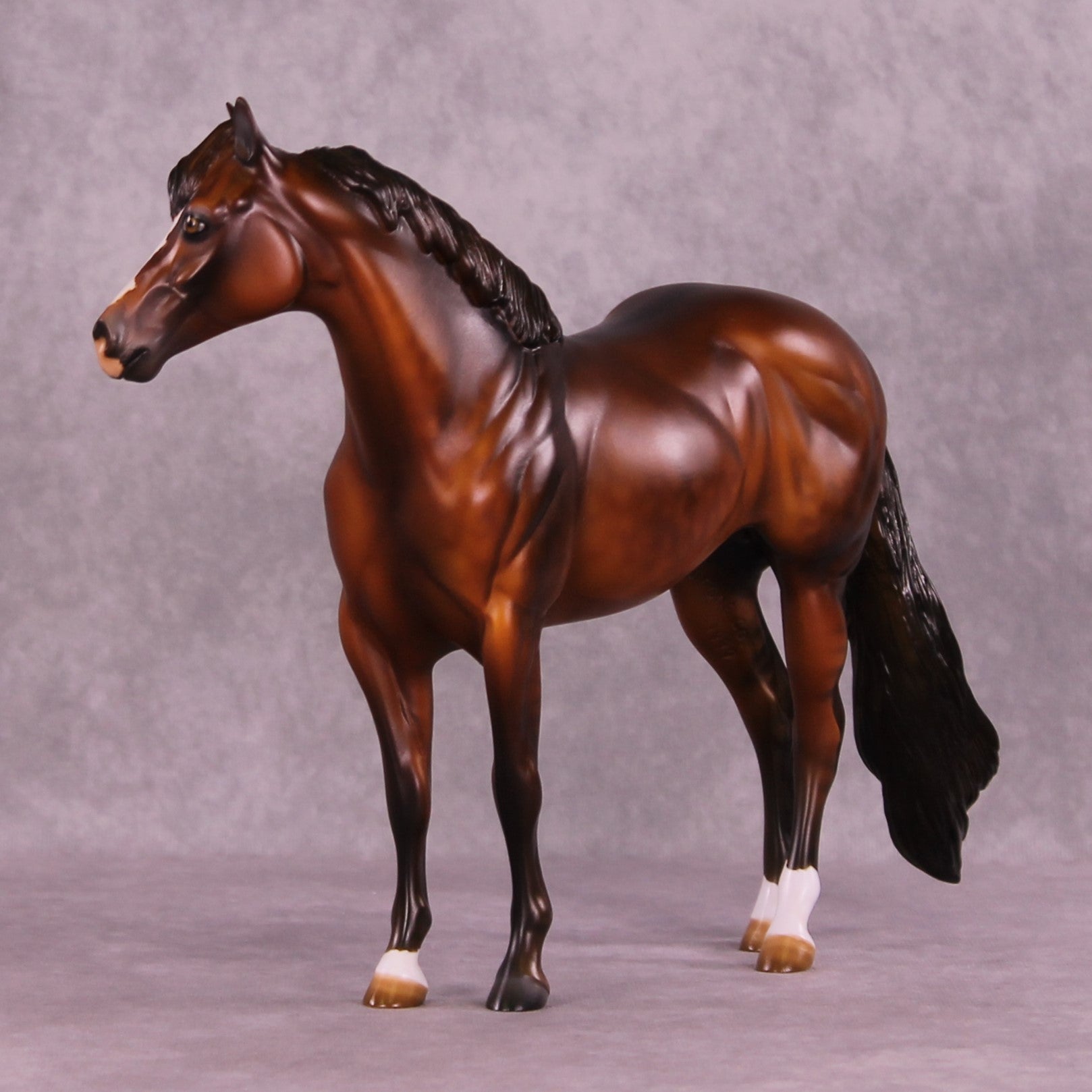 Antici-Pation OOAK FCM Ideal Stock Horse by Julie Keim DDOOAKs25