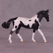 Renewal or Splendor LE-24 FCM Chip Warmblood By Dawn Quick FS25