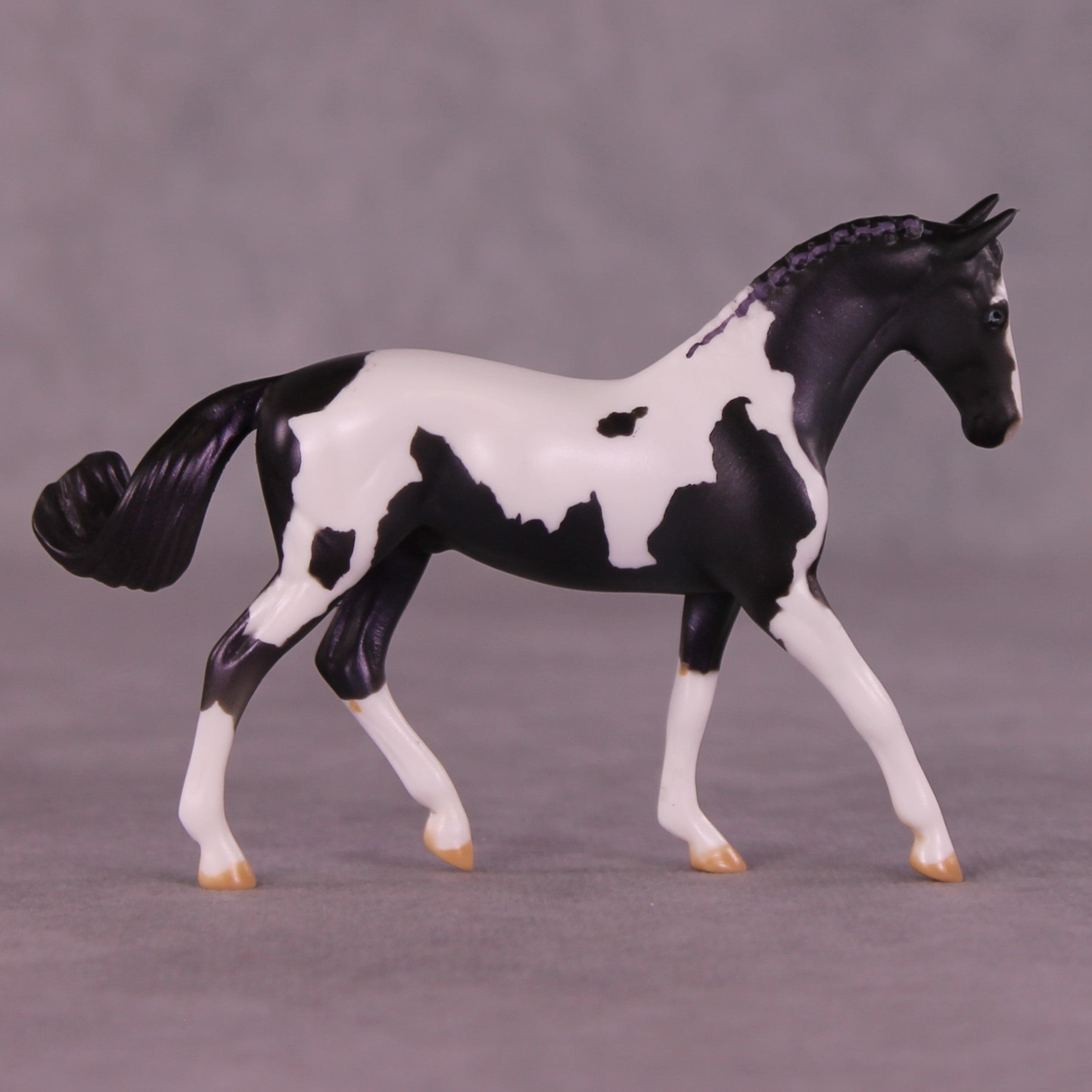 Renewal or Splendor LE-24 FCM Chip Warmblood By Dawn Quick FS25