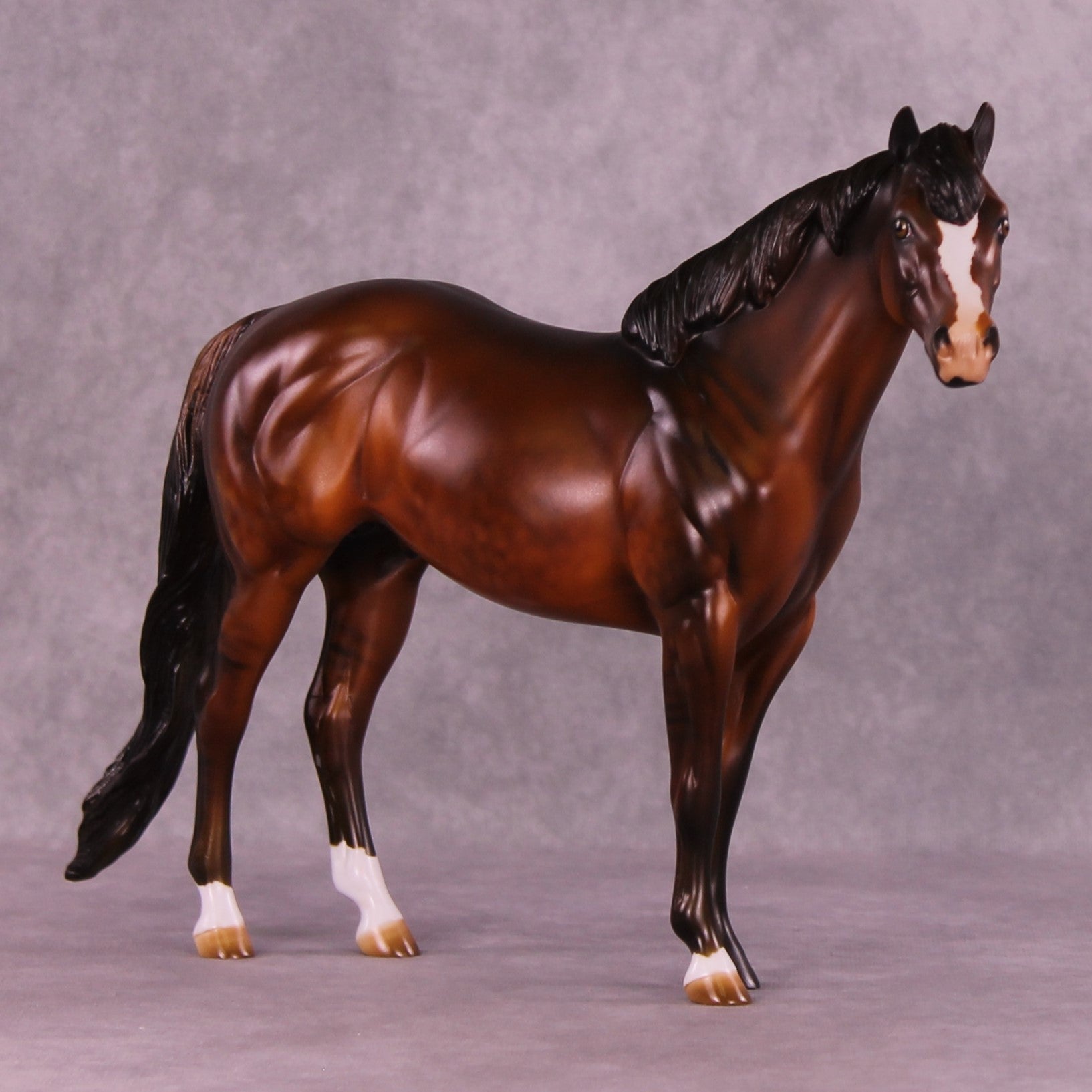 Antici-Pation OOAK FCM Ideal Stock Horse by Julie Keim DDOOAKs25