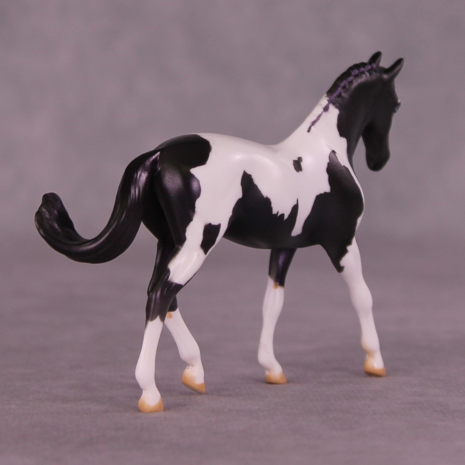 SAMPLE Renewal LE-13 FCM Chip Warmblood by Dawn Quick HS25