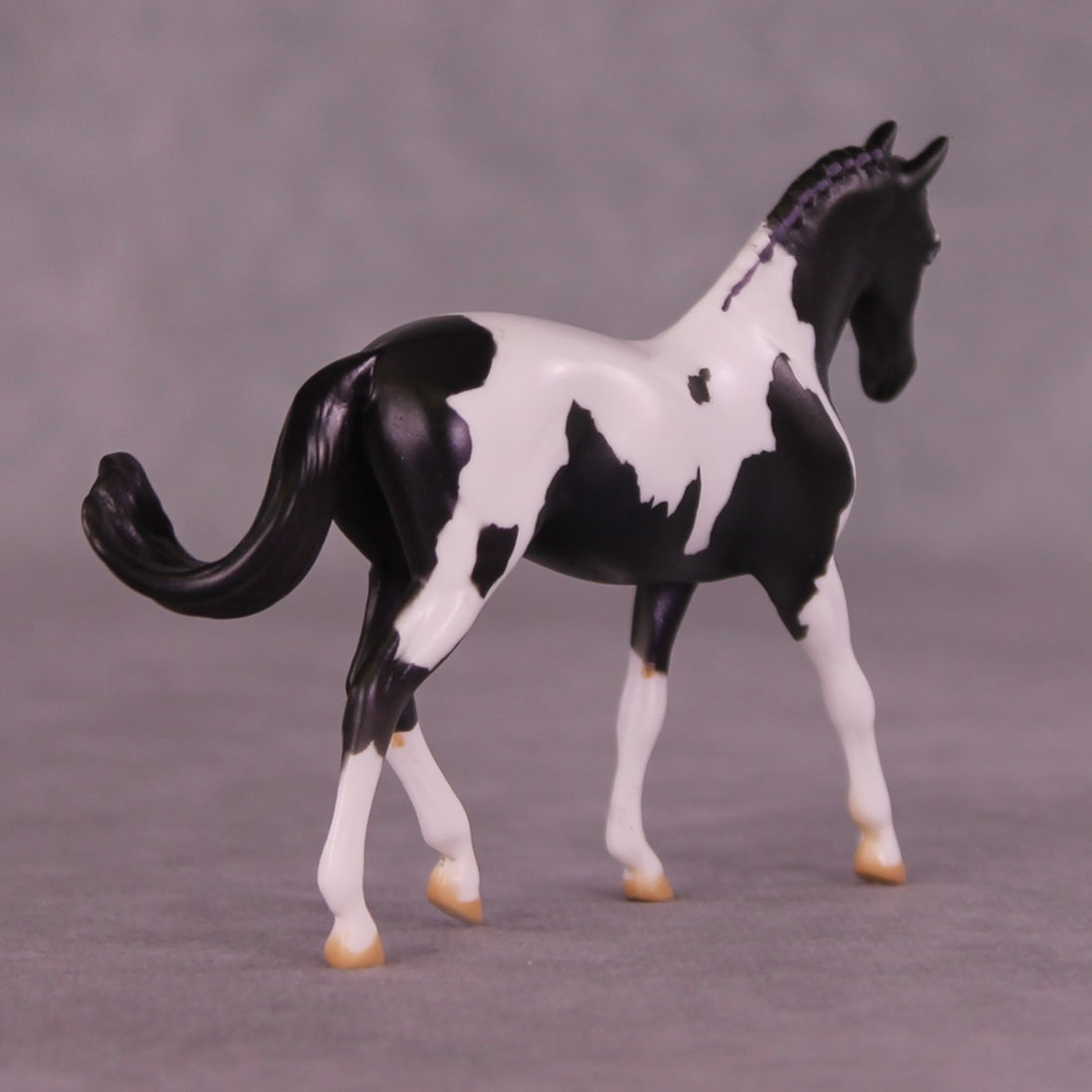 Renewal or Splendor LE-24 FCM Chip Warmblood By Dawn Quick FS25