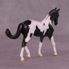 Renewal or Splendor LE-24 FCM Chip Warmblood By Dawn Quick FS25