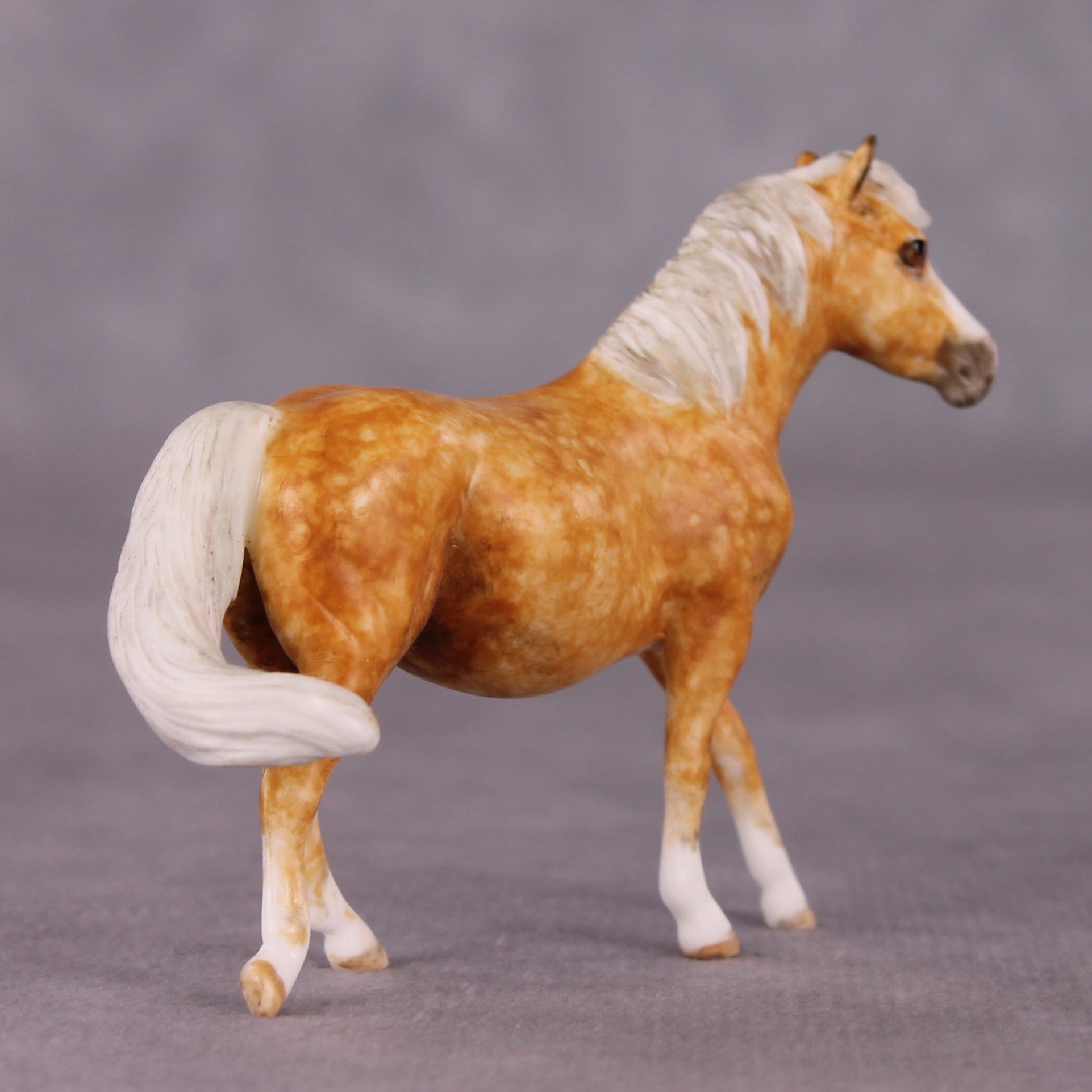 "Taffy" OOAK FCM Pony Chip by Andrea Thomason SHCF25