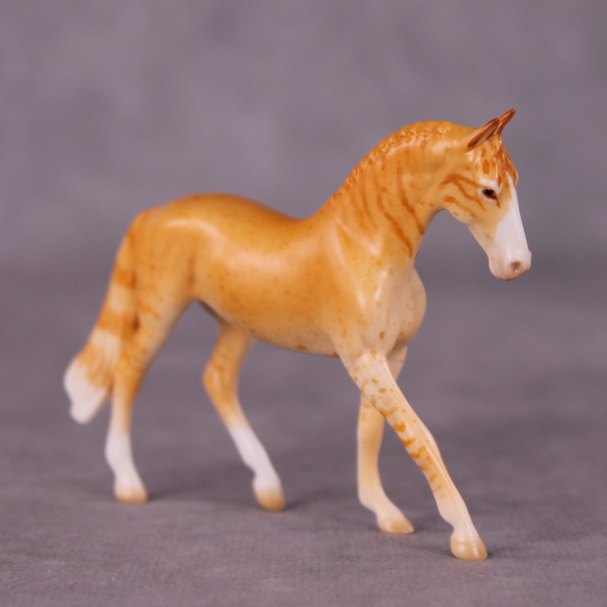 "Little Tiger" OOAK Warmblood Chip By Jess Hamill - Menagerie Series