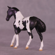 Renewal or Splendor LE-24 FCM Chip Warmblood By Dawn Quick FS25