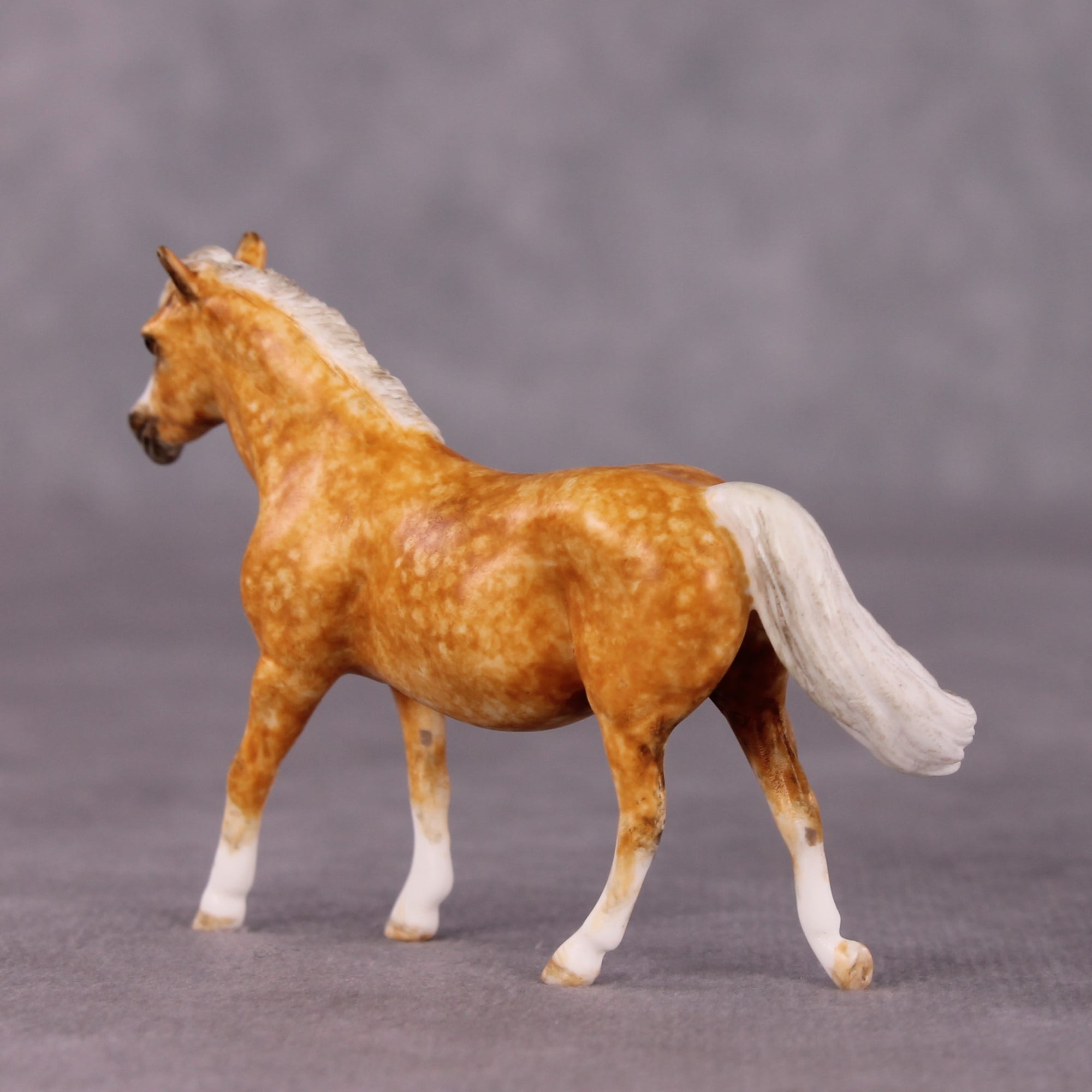 "Taffy" OOAK FCM Pony Chip by Andrea Thomason SHCF25