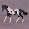 Renewal or Splendor LE-24 FCM Chip Warmblood By Dawn Quick FS25
