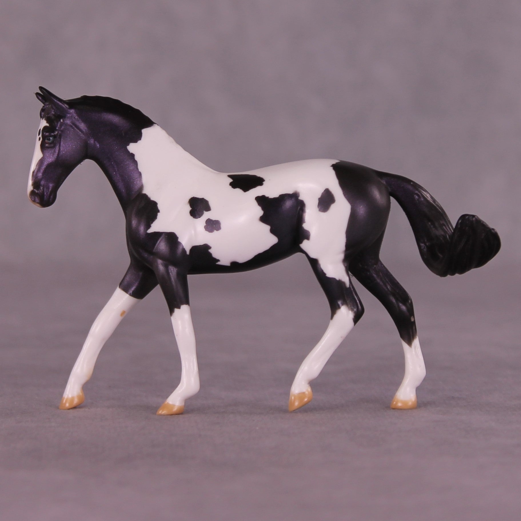 Renewal or Splendor LE-24 FCM Chip Warmblood By Dawn Quick FS25