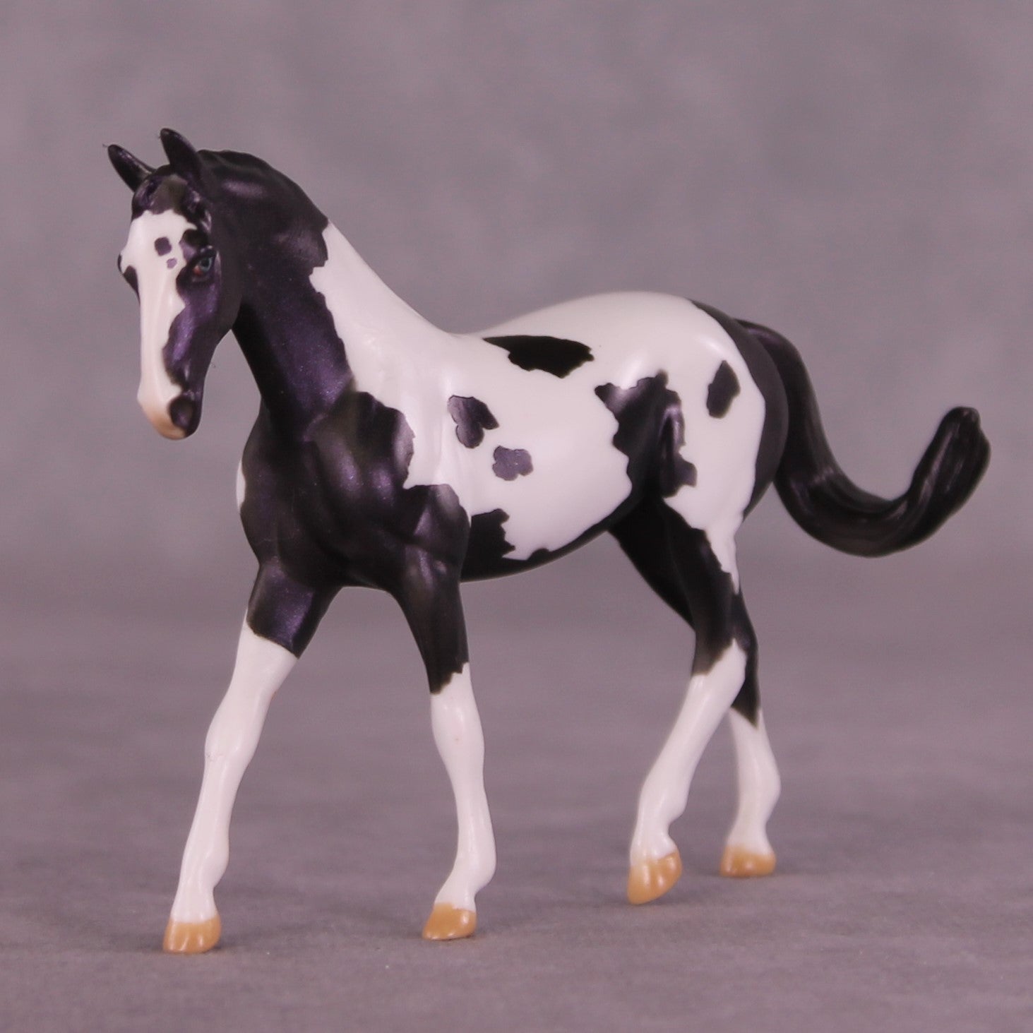 SAMPLE Renewal LE-13 FCM Chip Warmblood by Dawn Quick HS25