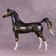? OOAK FCM Arabian by Ellen Robbins DDOOAKs25