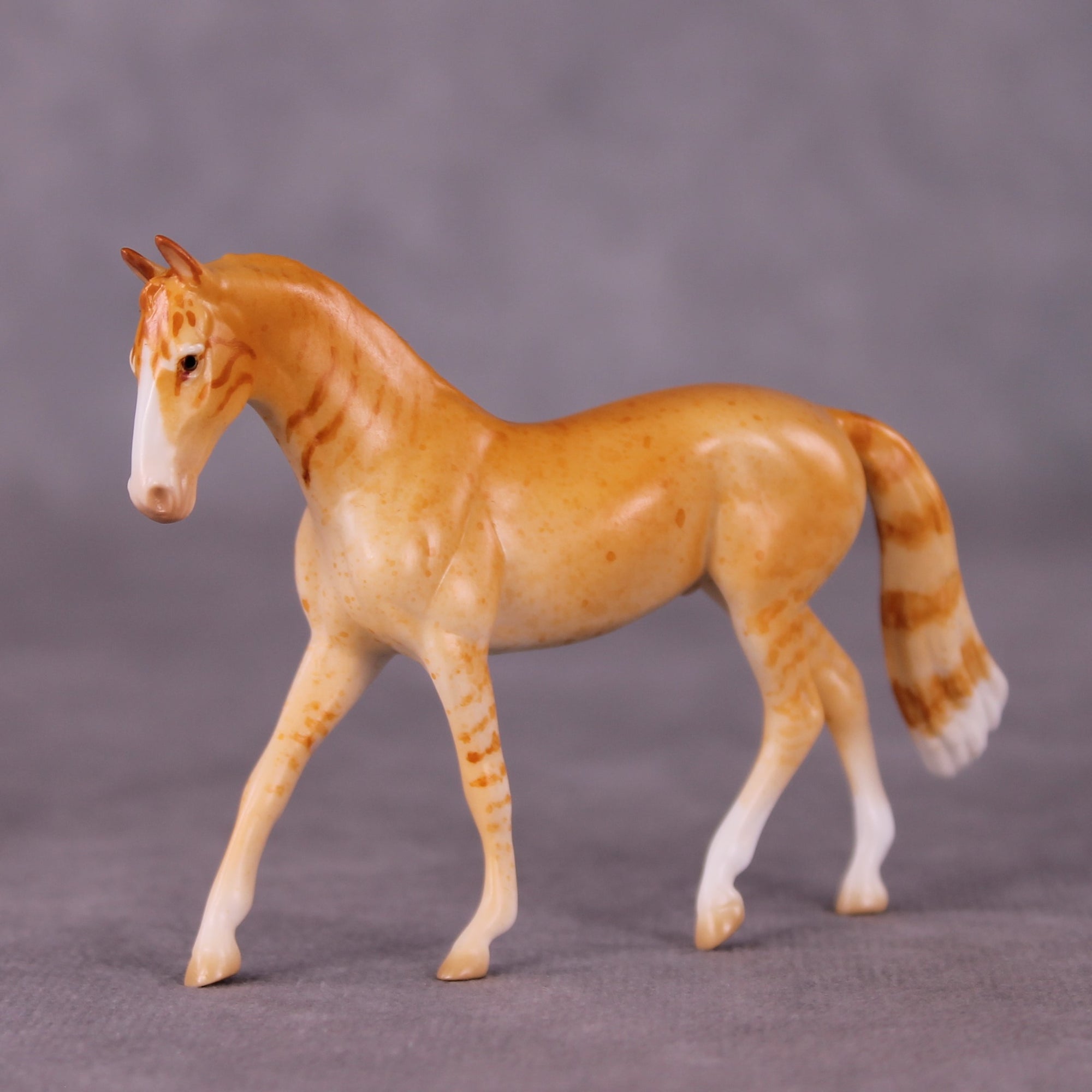 "Little Tiger" OOAK Warmblood Chip By Jess Hamill - Menagerie Series