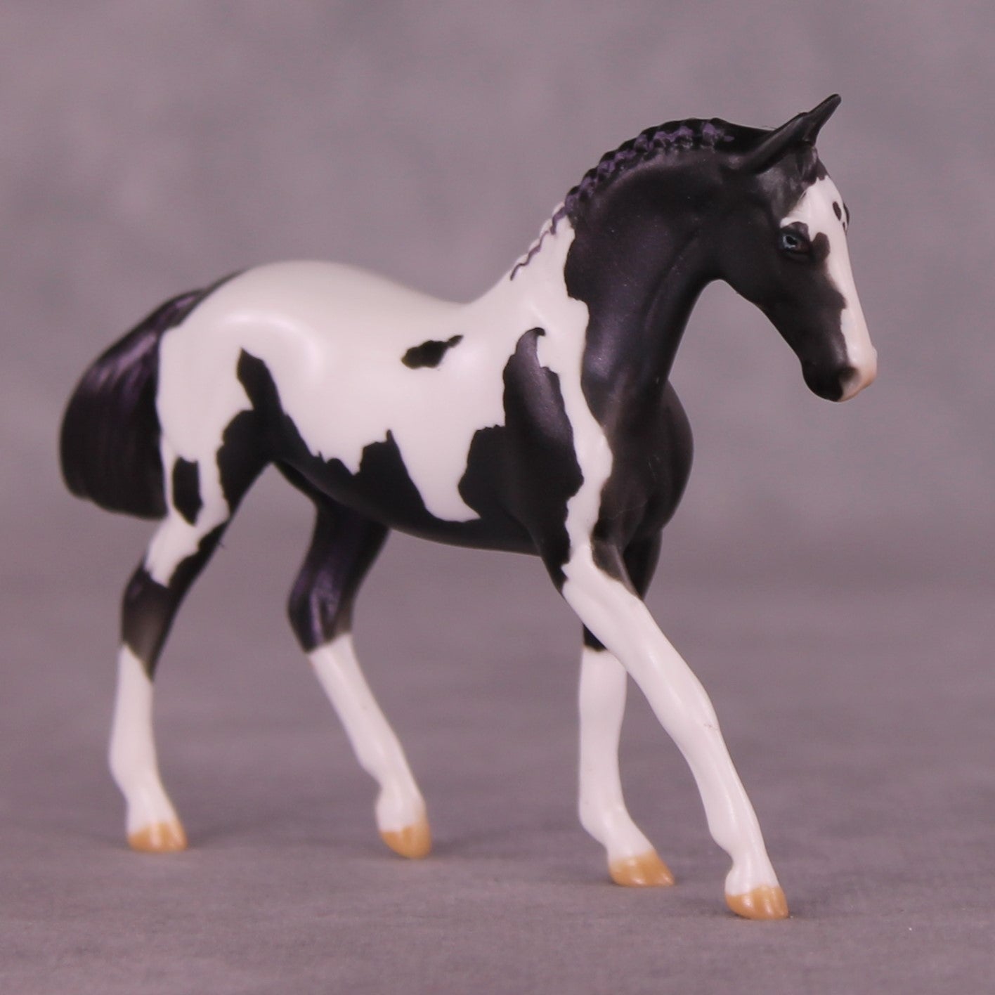 SAMPLE Renewal LE-13 FCM Chip Warmblood by Dawn Quick HS25