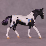 Renewal or Splendor LE-24 FCM Chip Warmblood By Dawn Quick FS25