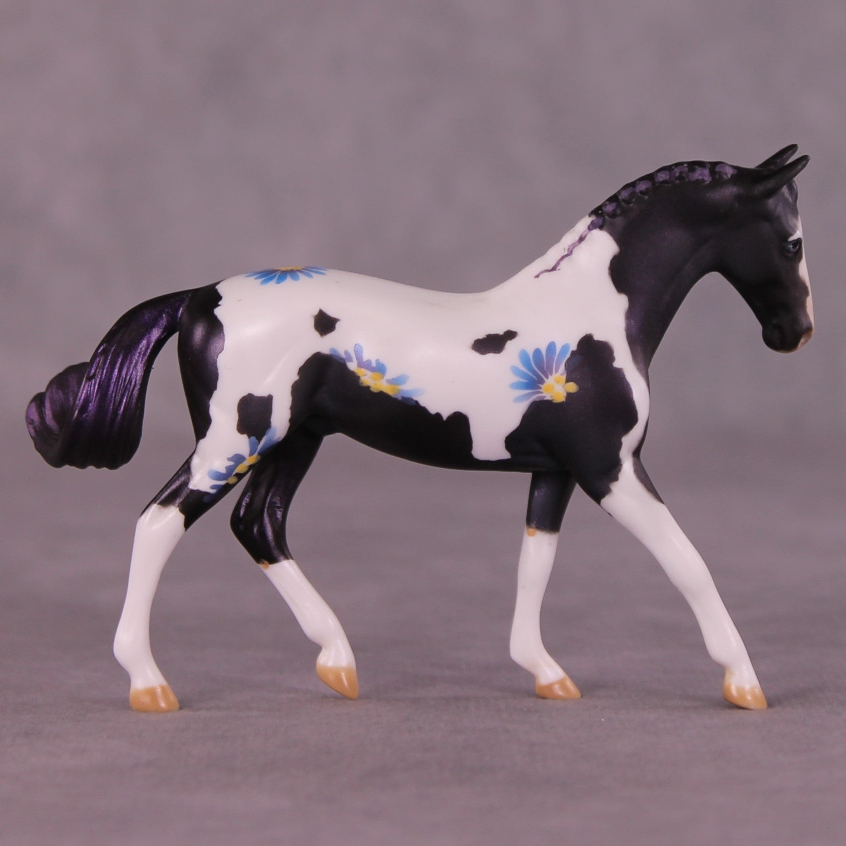 Renewal or Splendor LE-24 FCM Chip Warmblood By Dawn Quick FS25