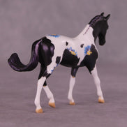 Renewal or Splendor LE-24 FCM Chip Warmblood By Dawn Quick FS25