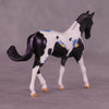 Renewal or Splendor LE-24 FCM Chip Warmblood By Dawn Quick FS25