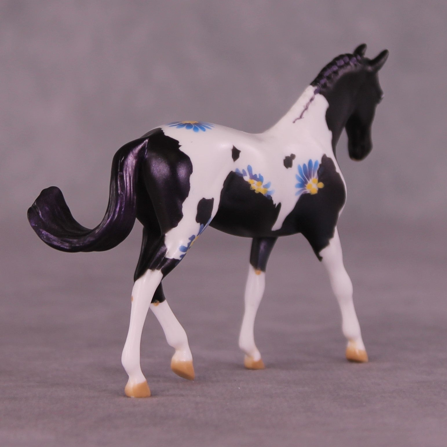 Renewal or Splendor LE-24 FCM Chip Warmblood By Dawn Quick FS25