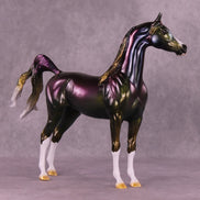 ? OOAK FCM Arabian by Ellen Robbins DDOOAKs25