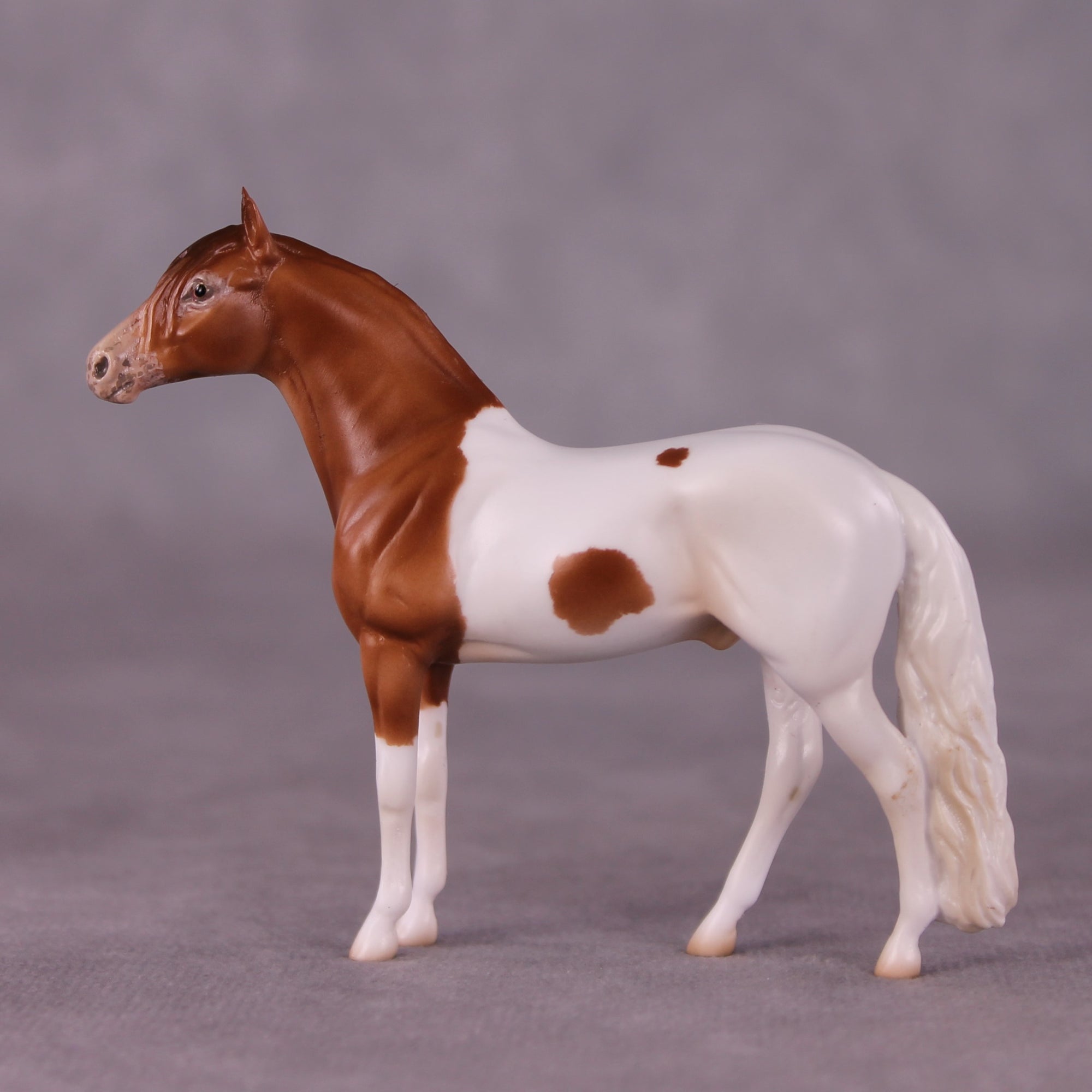 "Wolworth" OOAK Andalusian Chip By Jess Hamill - Menagerie Series