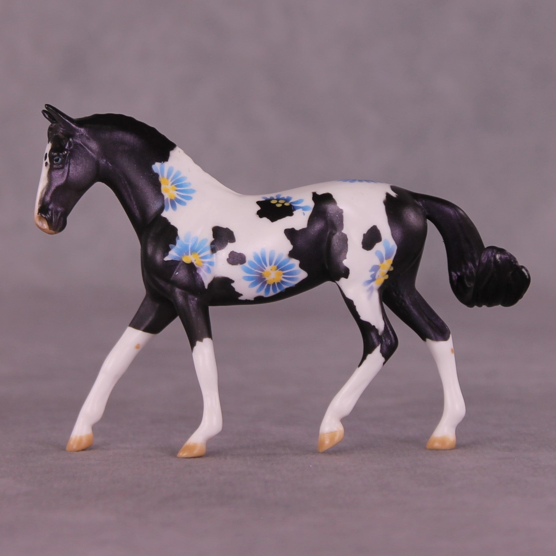 Renewal or Splendor LE-24 FCM Chip Warmblood By Dawn Quick FS25