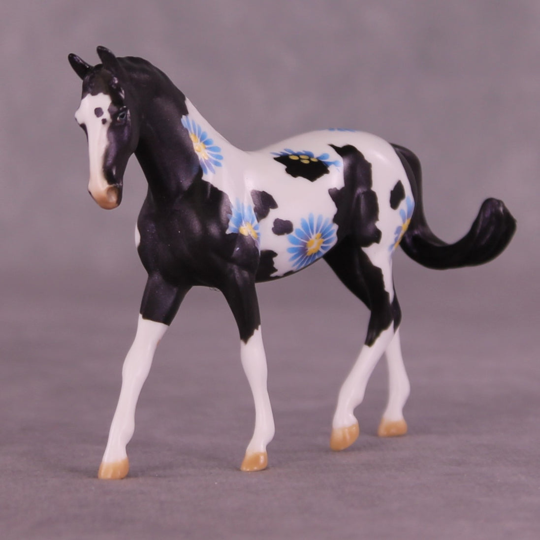 Renewal or Splendor LE-24 FCM Chip Warmblood By Dawn Quick FS25