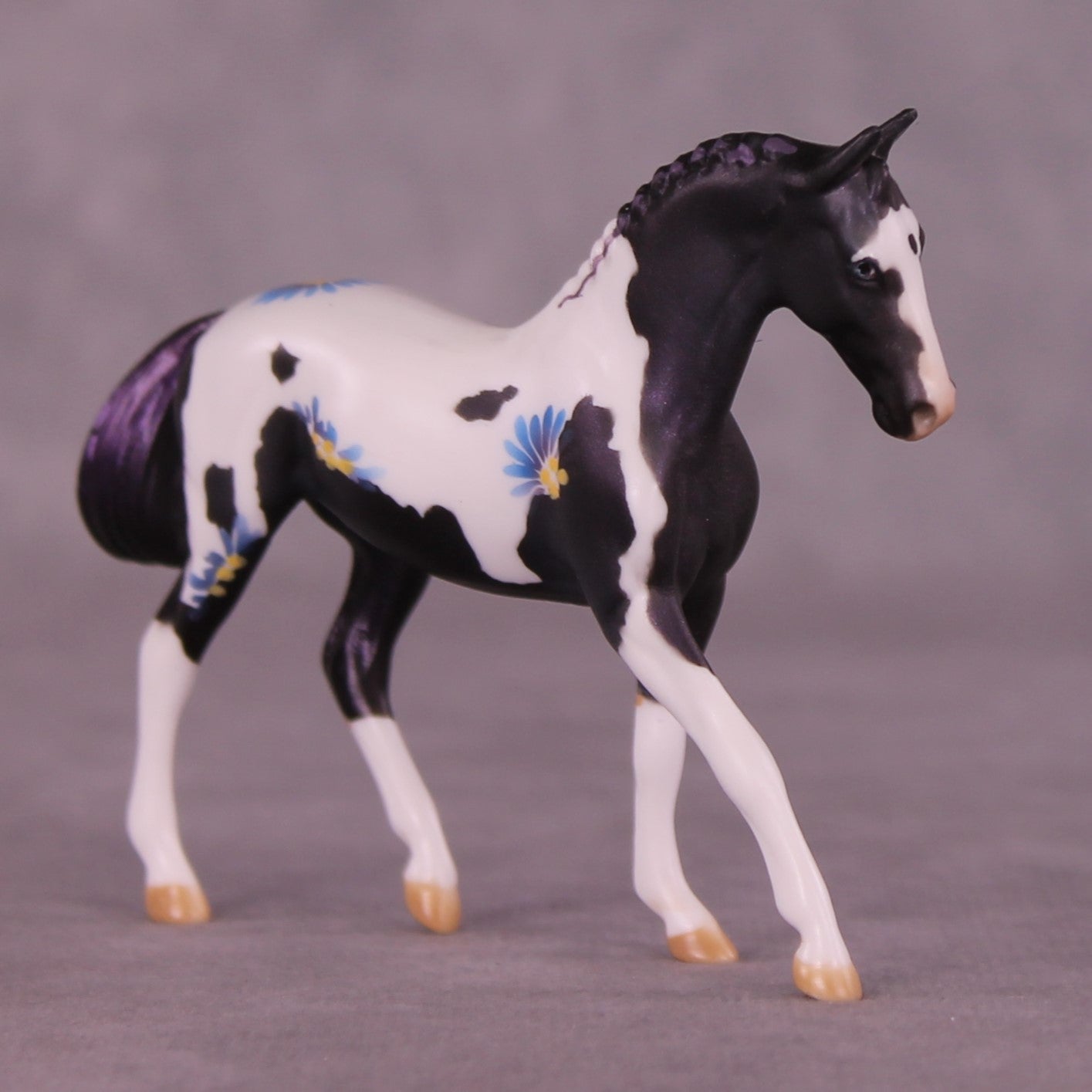 Renewal or Splendor LE-24 FCM Chip Warmblood By Dawn Quick FS25