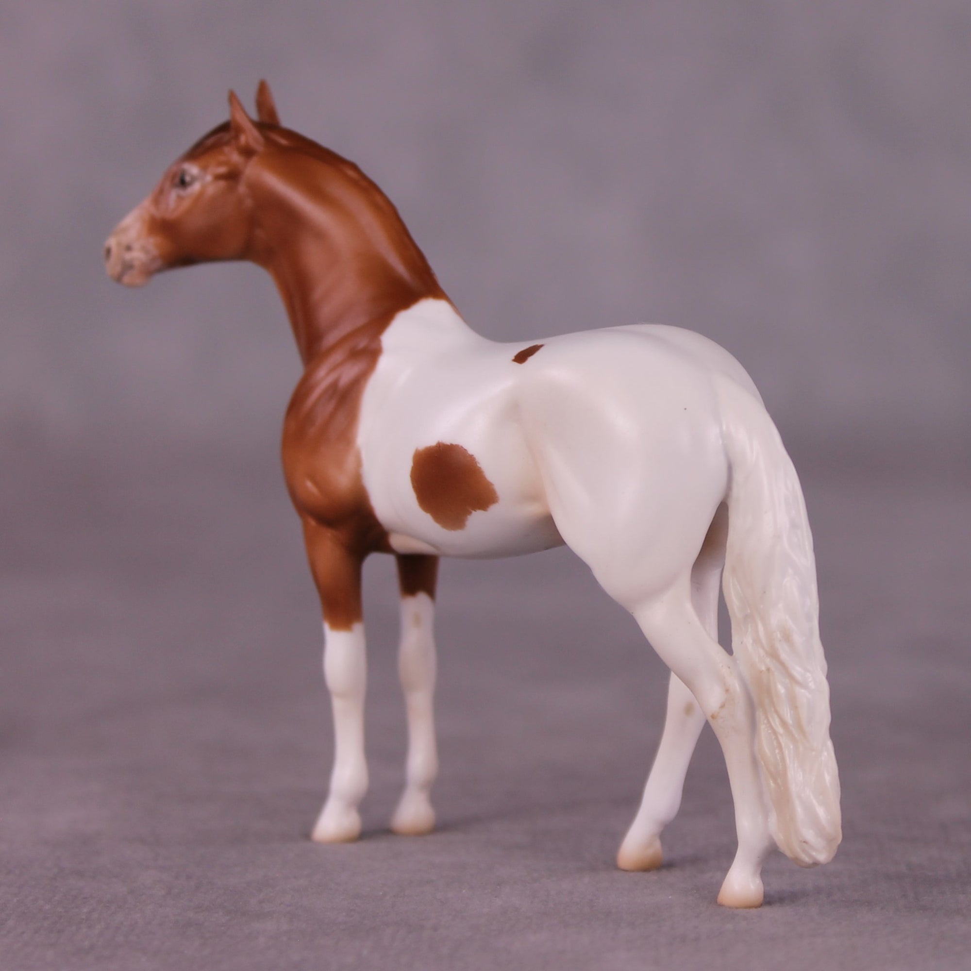"Wolworth" OOAK Andalusian Chip By Jess Hamill - Menagerie Series