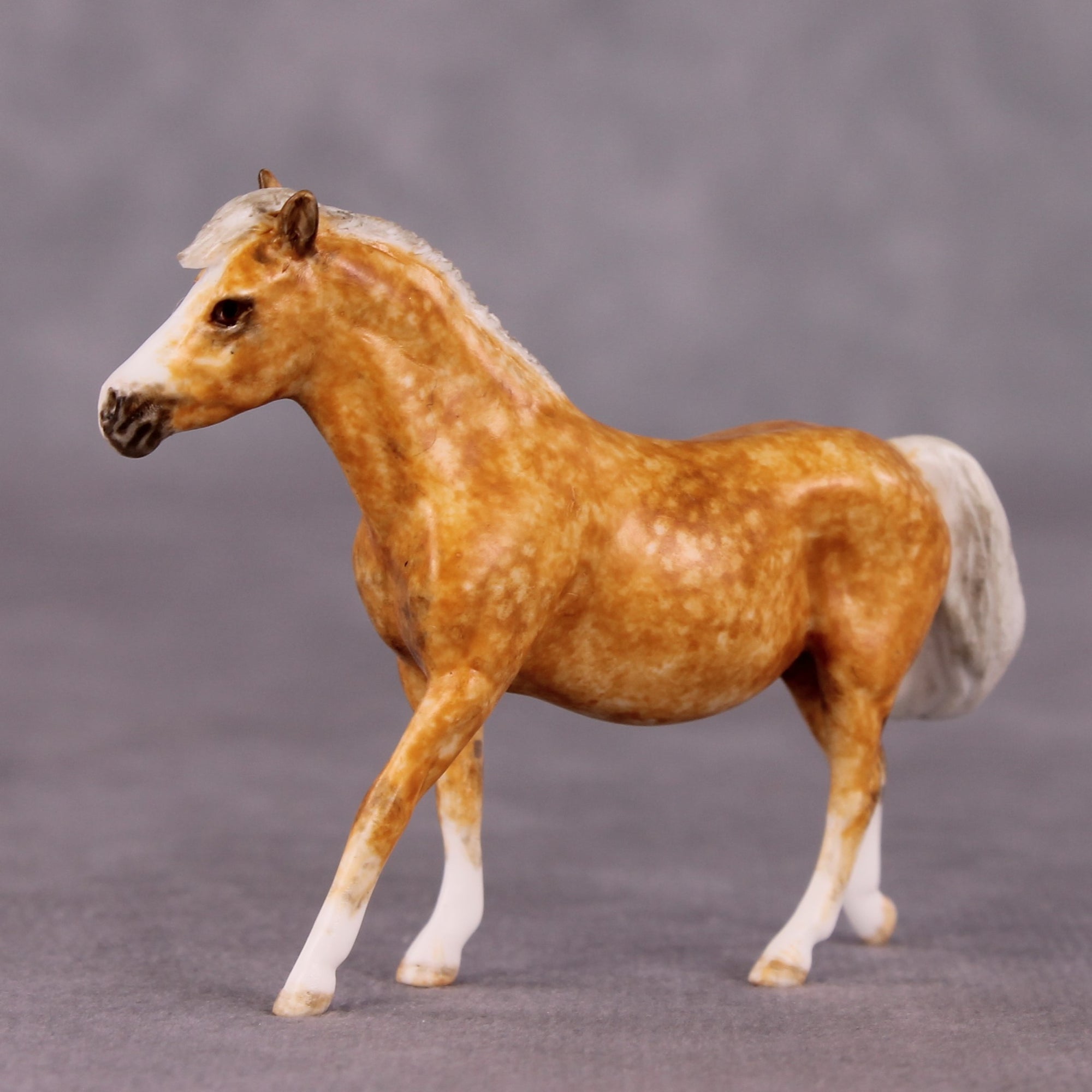 "Taffy" OOAK FCM Pony Chip by Andrea Thomason SHCF25