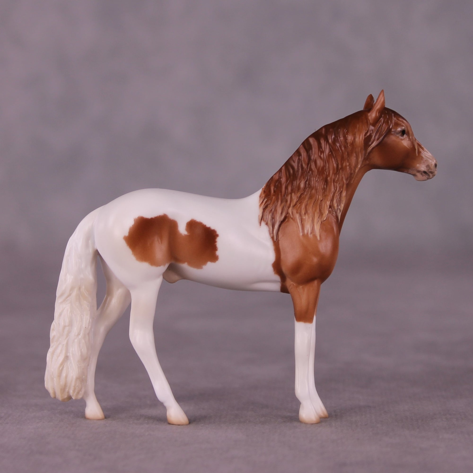 "Wolworth" OOAK Andalusian Chip By Jess Hamill - Menagerie Series